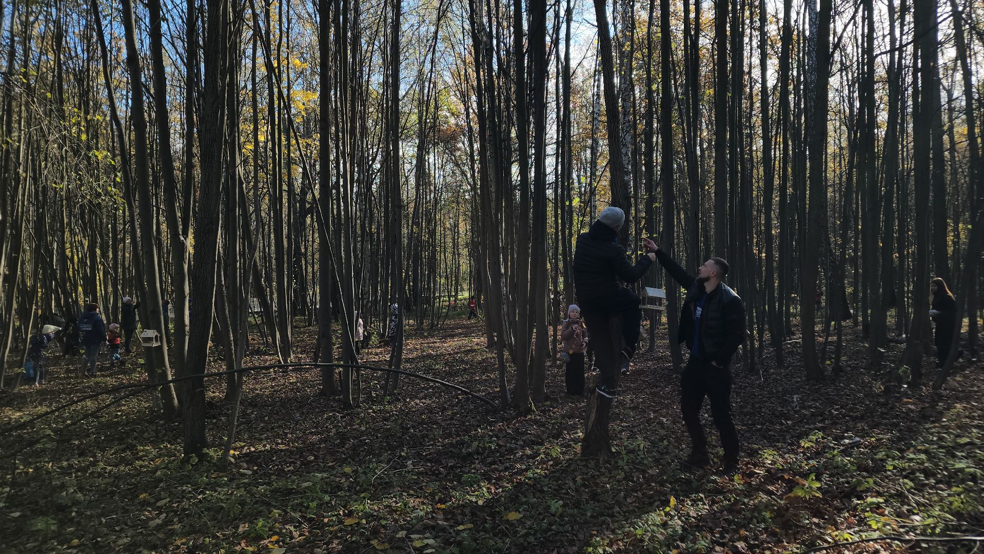 ступино, день отца, парки подмосковье,