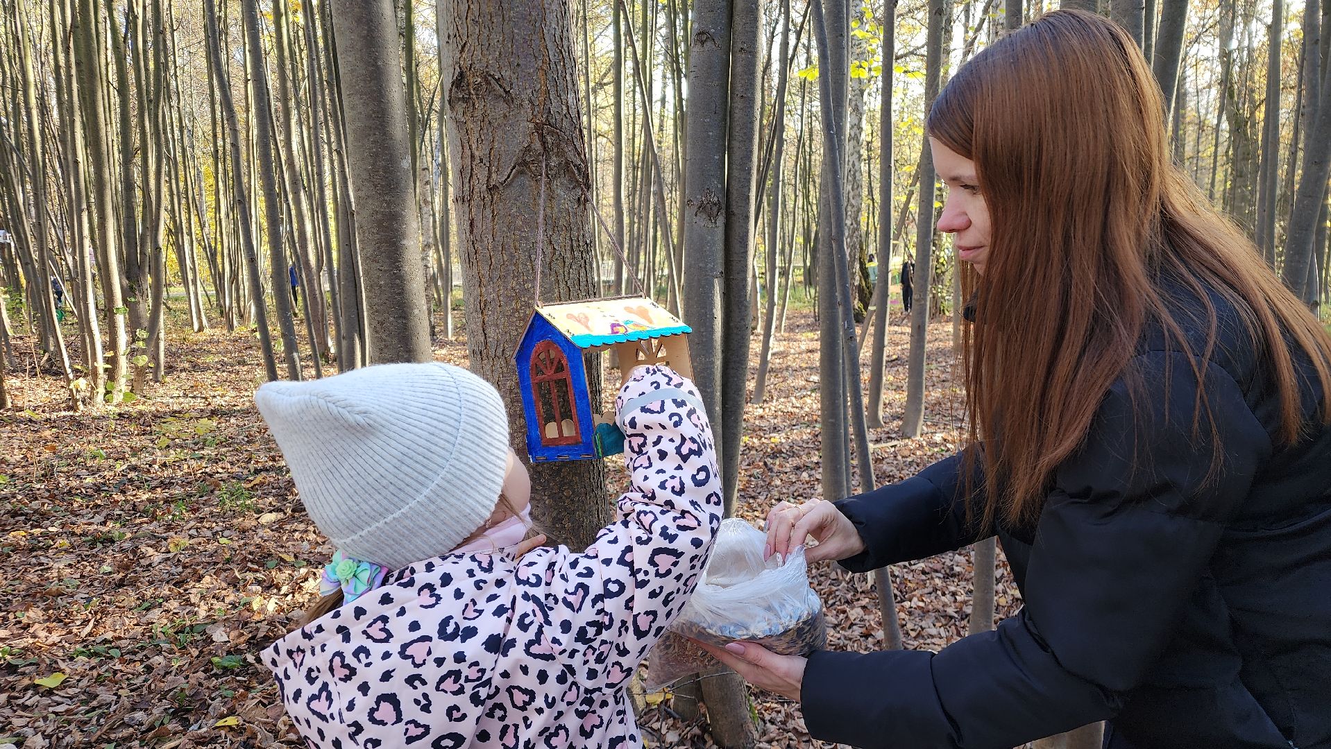 ступино, день отца, парки подмосковье,