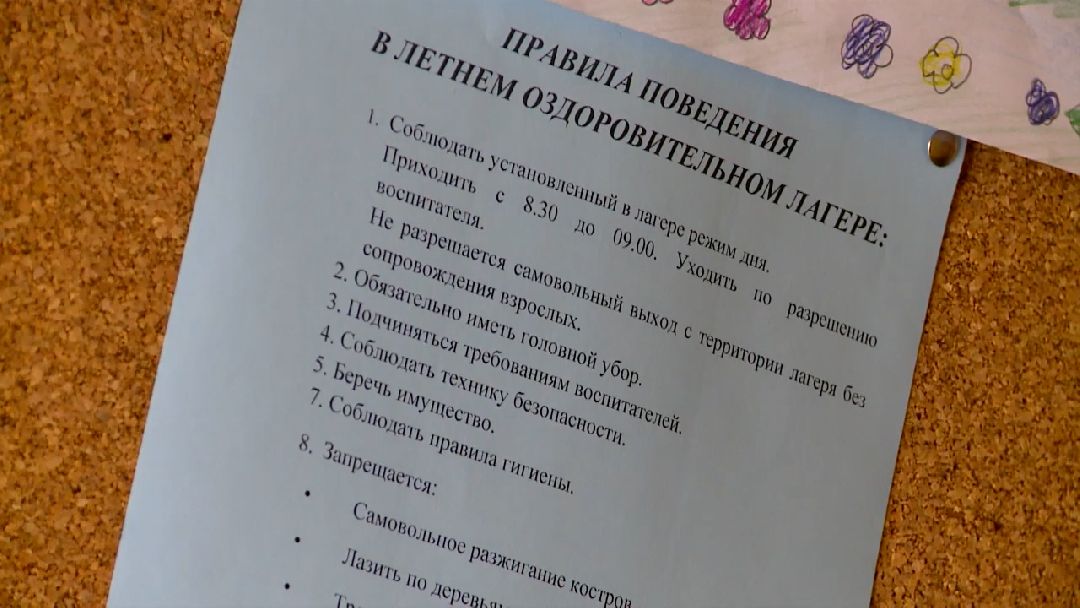 Реутов, образование, лагерь, отдых, дети, школьники