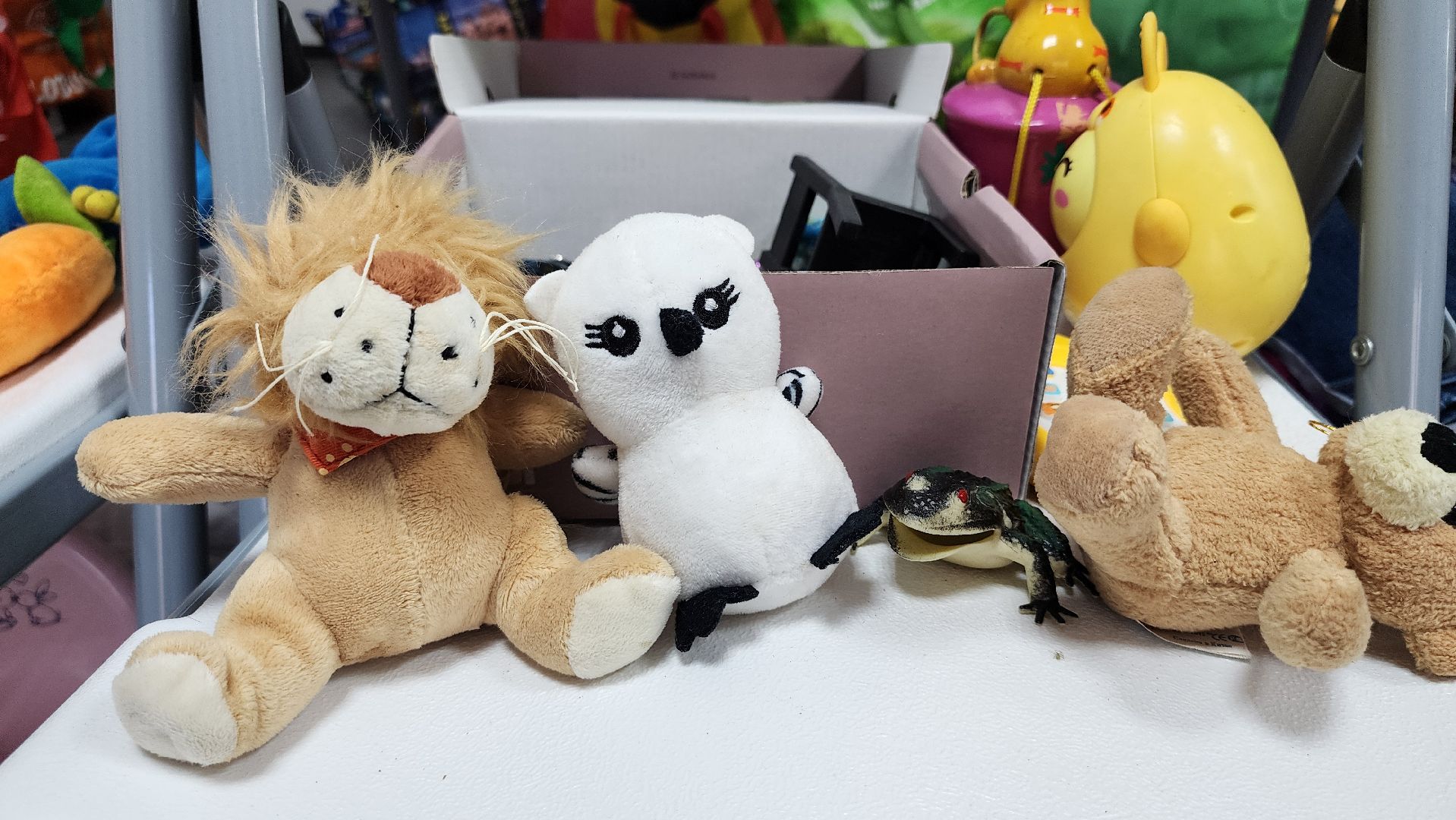 благотворительная акция, обмен вещами, гуманитарная помощь, Ногинск, Богородский городской округ,