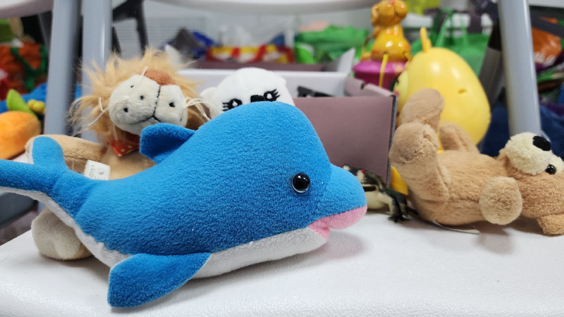 благотворительная акция, обмен вещами, гуманитарная помощь, Ногинск, Богородский городской округ,