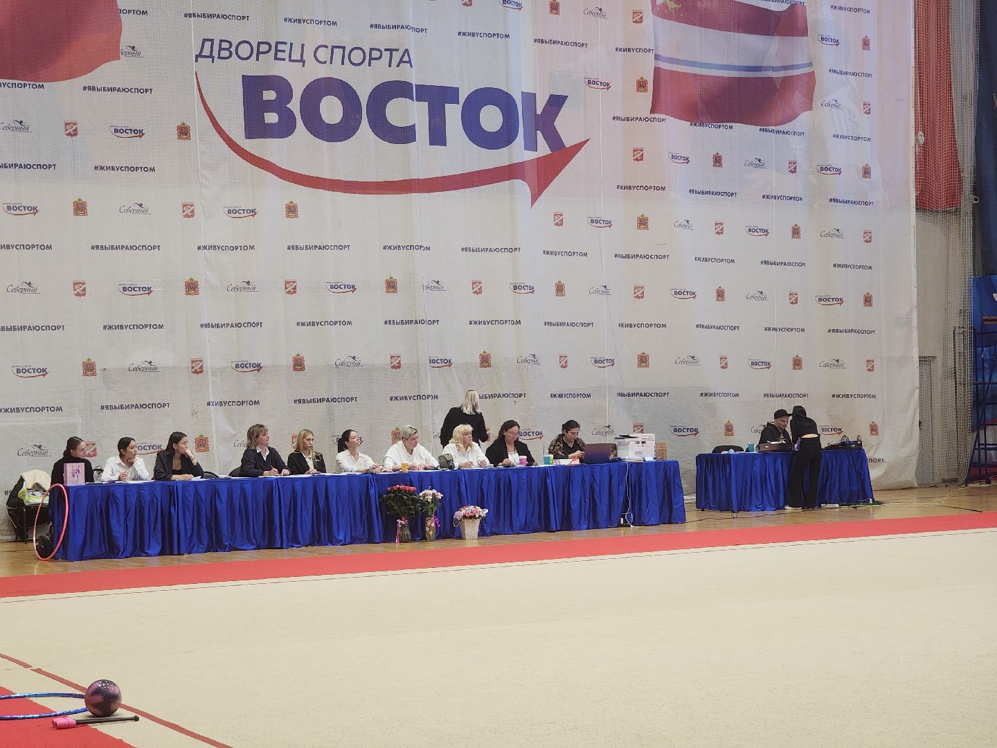 художественная галерея, турнир по художественной гимнастике, орехово зуево,