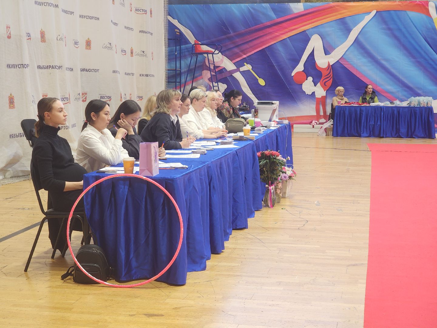 художественная галерея, турнир по художественной гимнастике, орехово зуево,