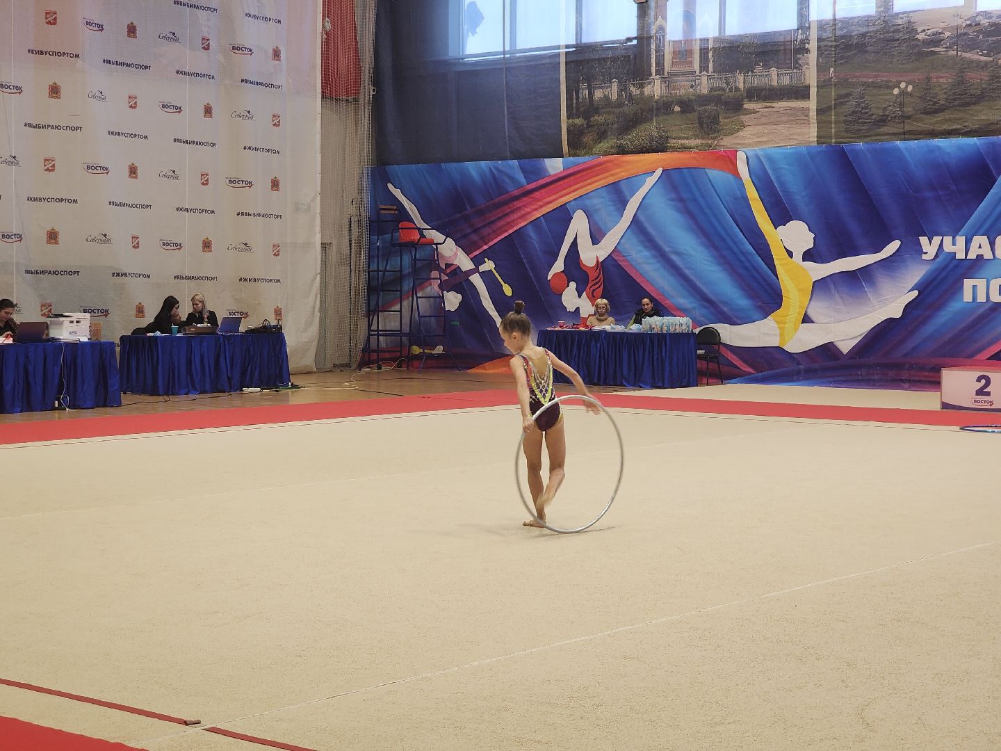 художественная галерея, турнир по художественной гимнастике, орехово зуево,