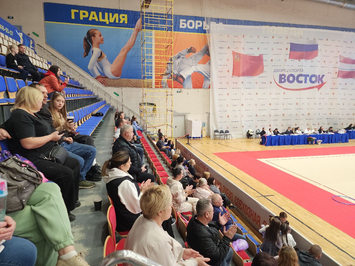 художественная галерея, турнир по художественной гимнастике, орехово зуево,