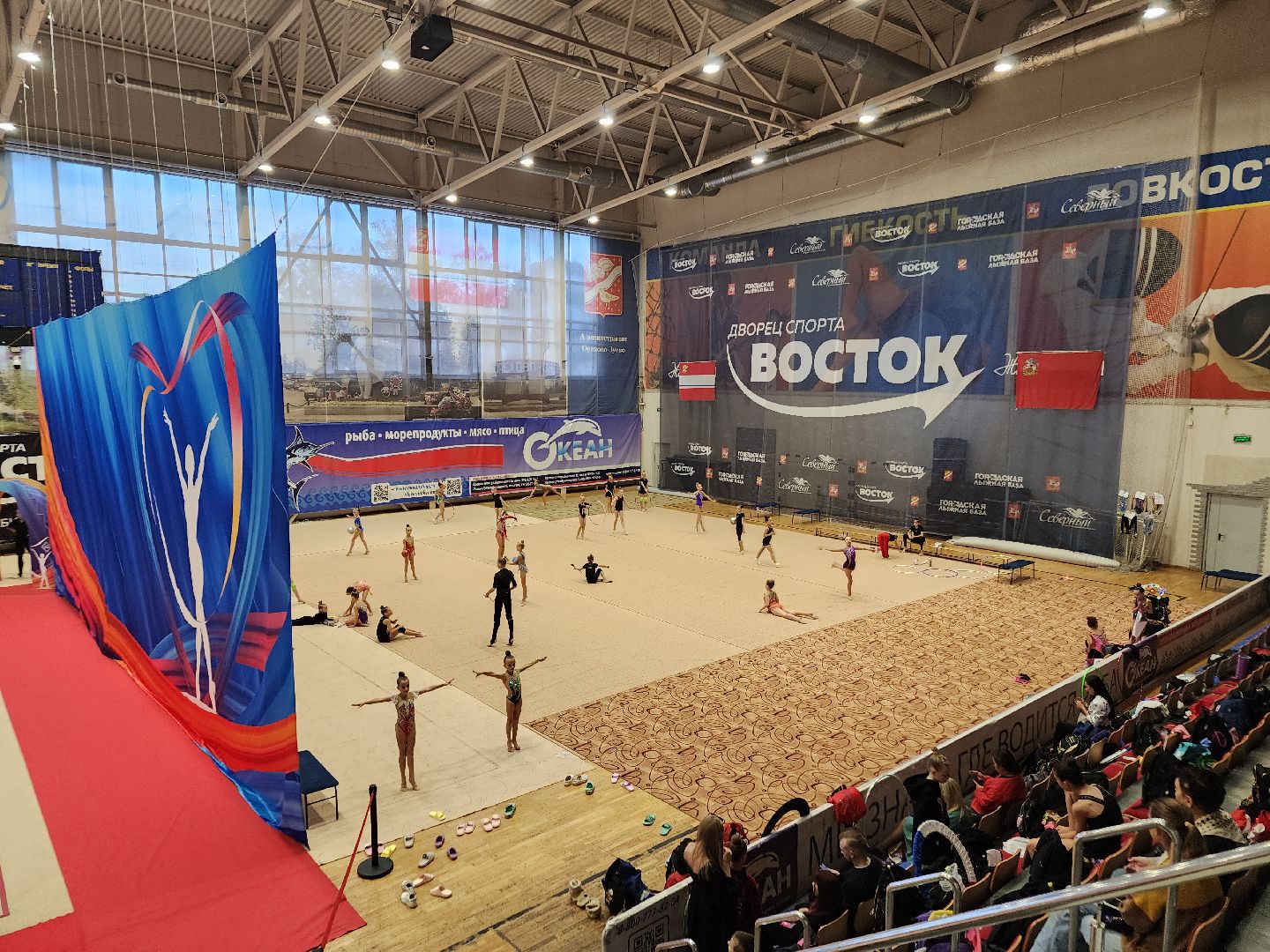 художественная галерея, турнир по художественной гимнастике, орехово зуево,