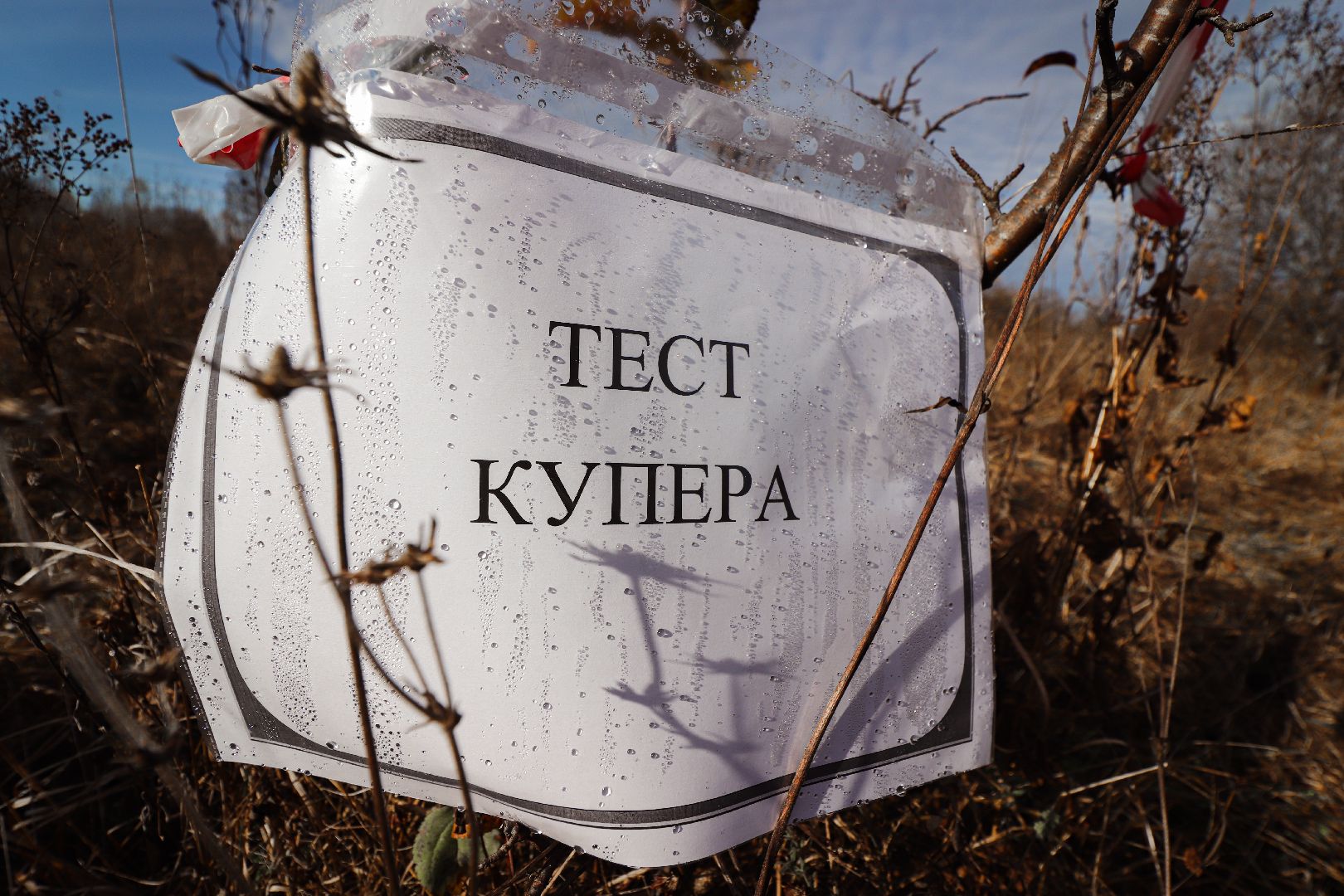 Клин, общество, спорт, патриотизм, марш-бросок,