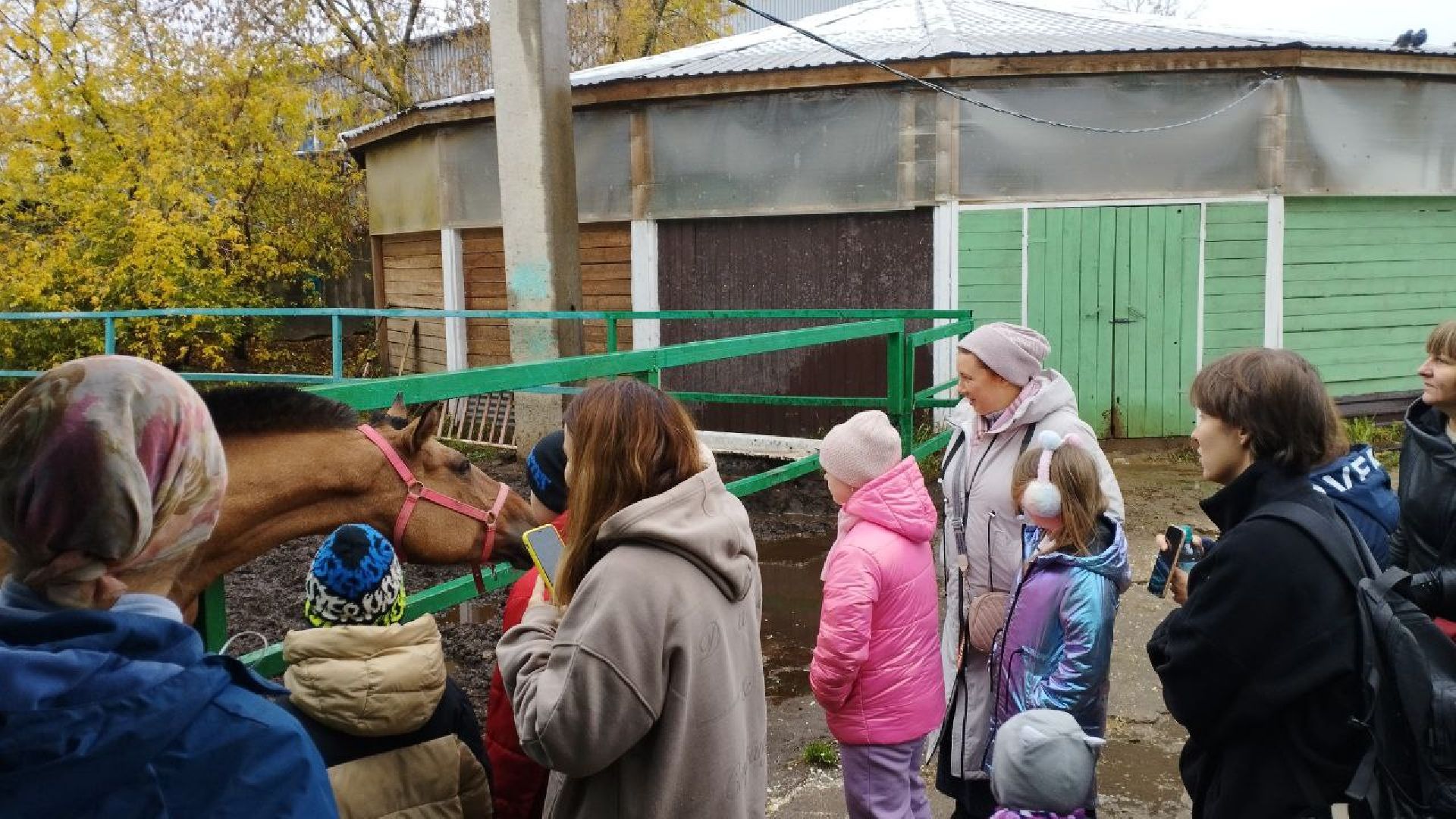 ивантеевка, пушкинский, иппотерапия, дети с овз, конный клуб, психология,