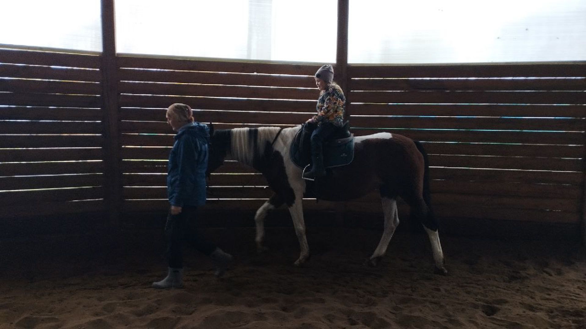 ивантеевка, пушкинский, иппотерапия, дети с овз, конный клуб, психология,