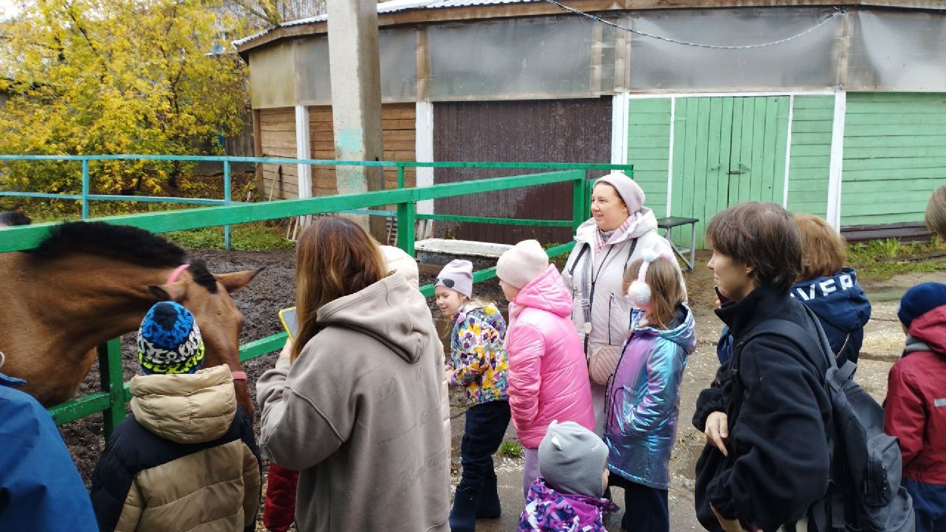 ивантеевка, пушкинский, иппотерапия, дети с овз, конный клуб, психология,