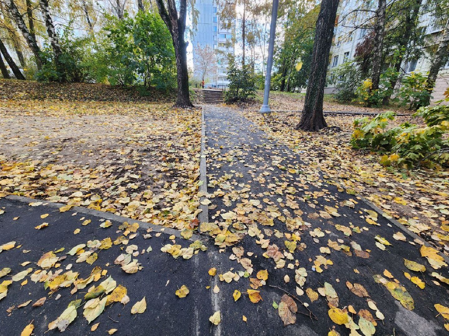 пущино, серпухов, дороги,