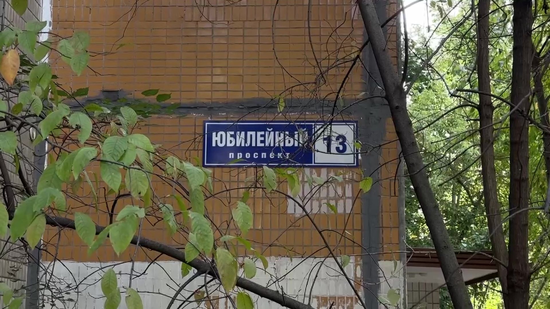 Реутов, двор, благоустройство, деревья, кустарники,