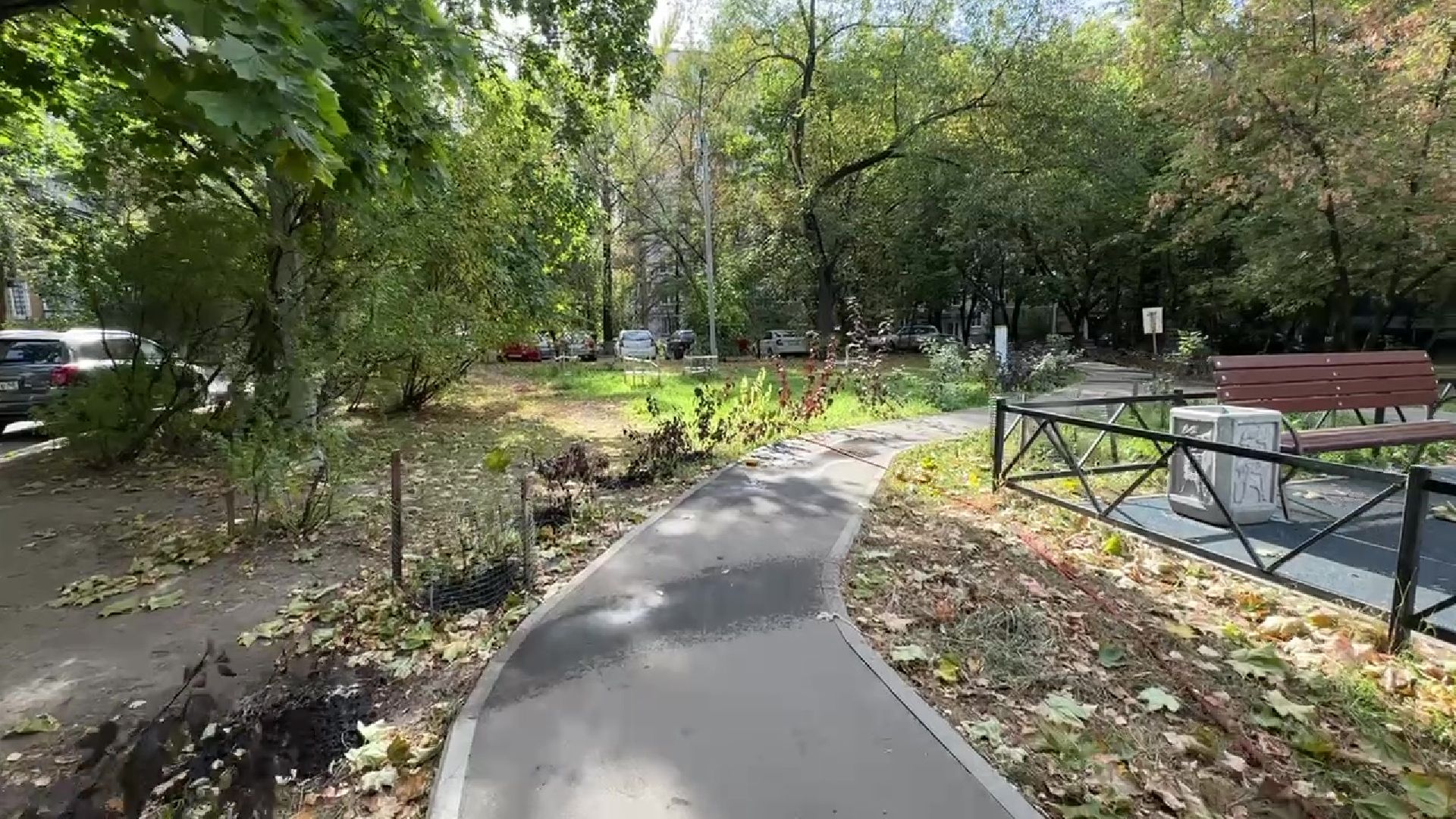 Реутов, двор, благоустройство, деревья, кустарники,