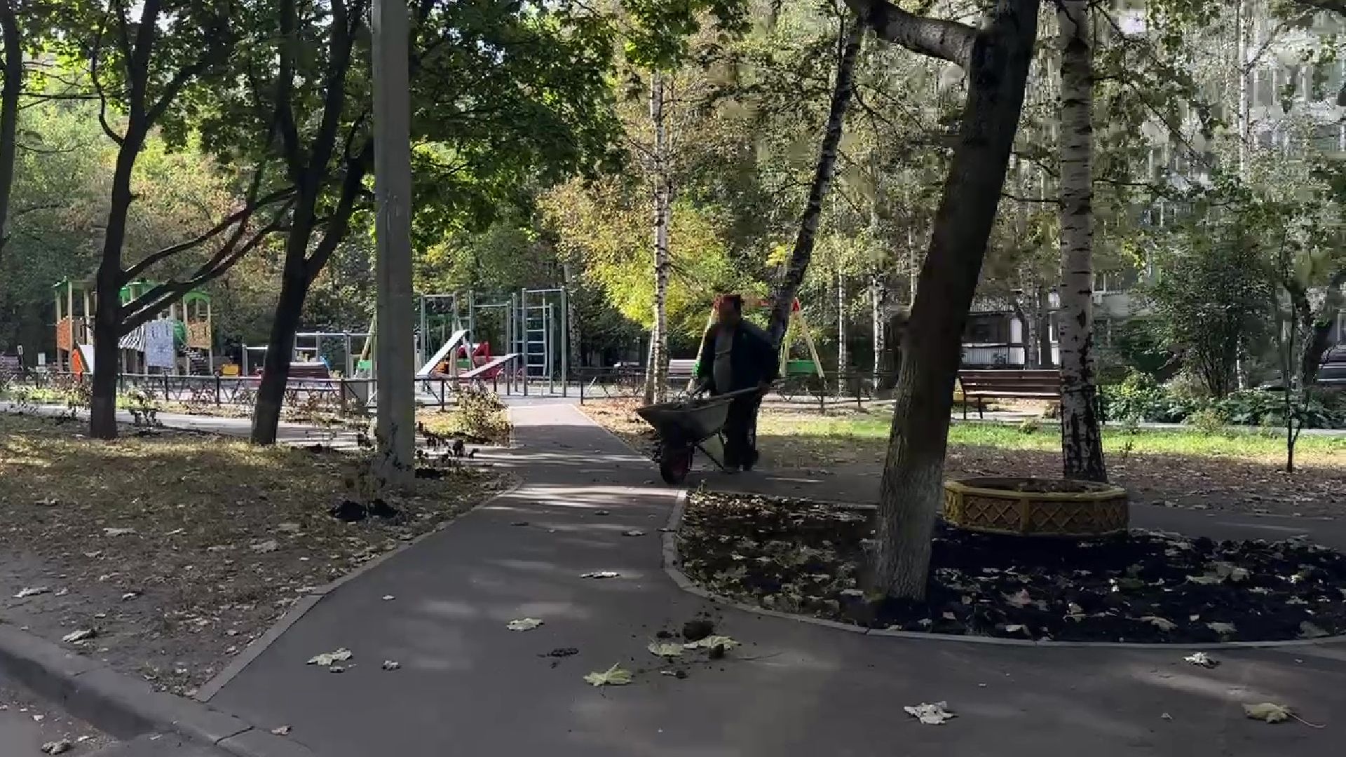 Реутов, двор, благоустройство, деревья, кустарники,