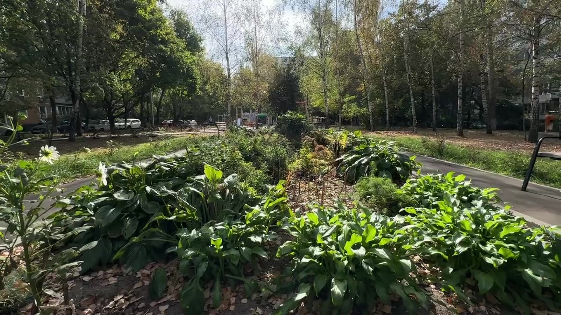 Реутов, двор, благоустройство, деревья, кустарники,