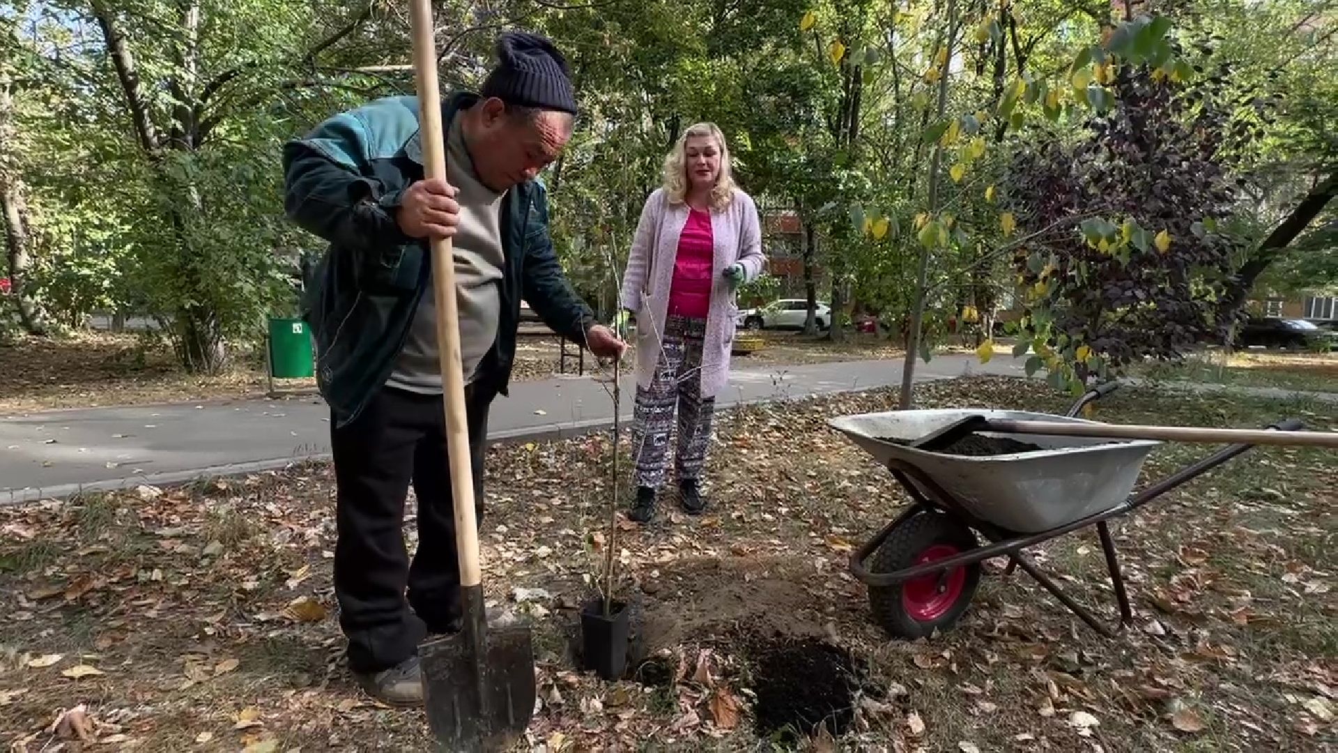 Реутов, двор, благоустройство, деревья, кустарники,