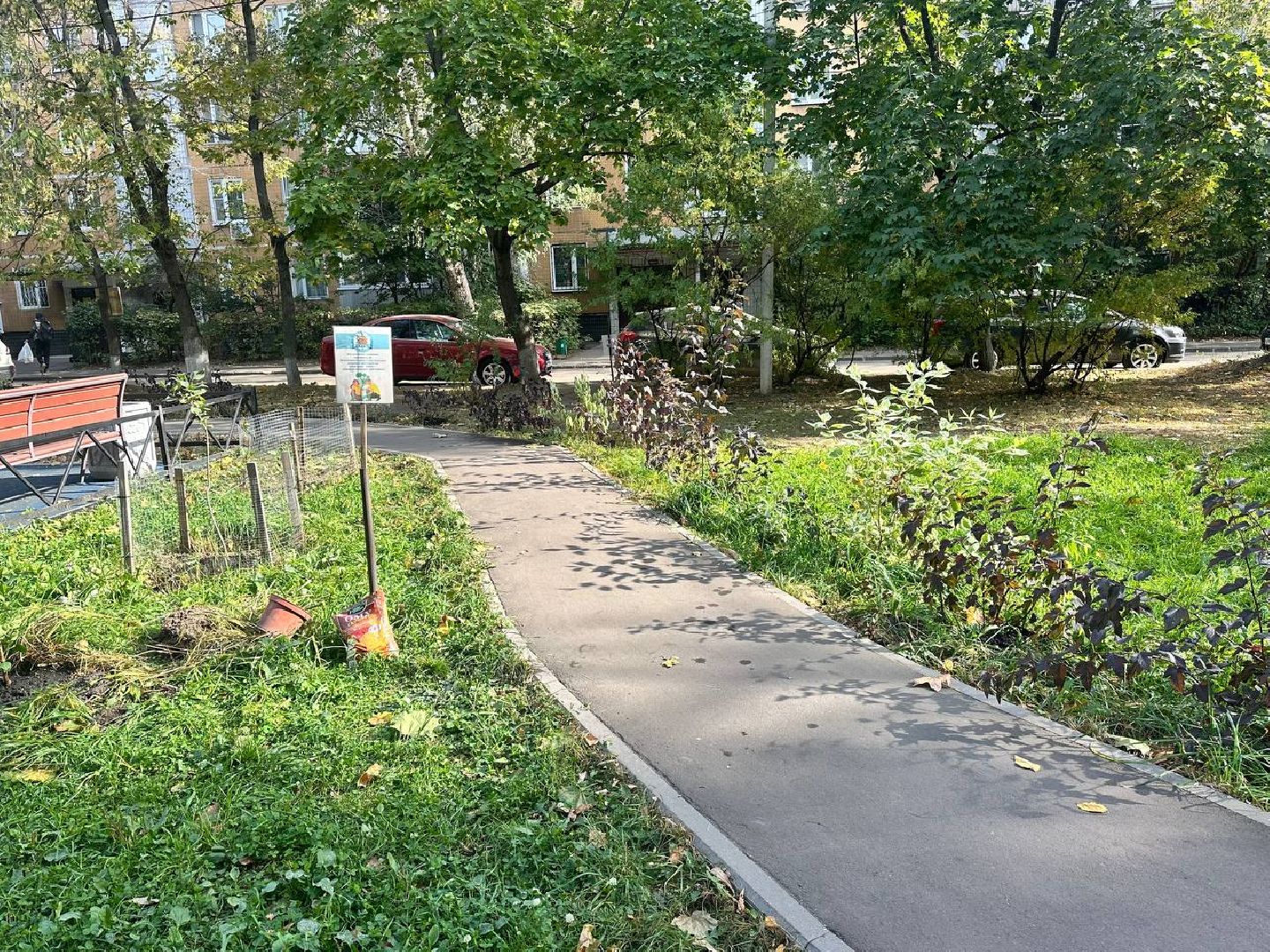 Реутов, двор, благоустройство, деревья, кустарники,