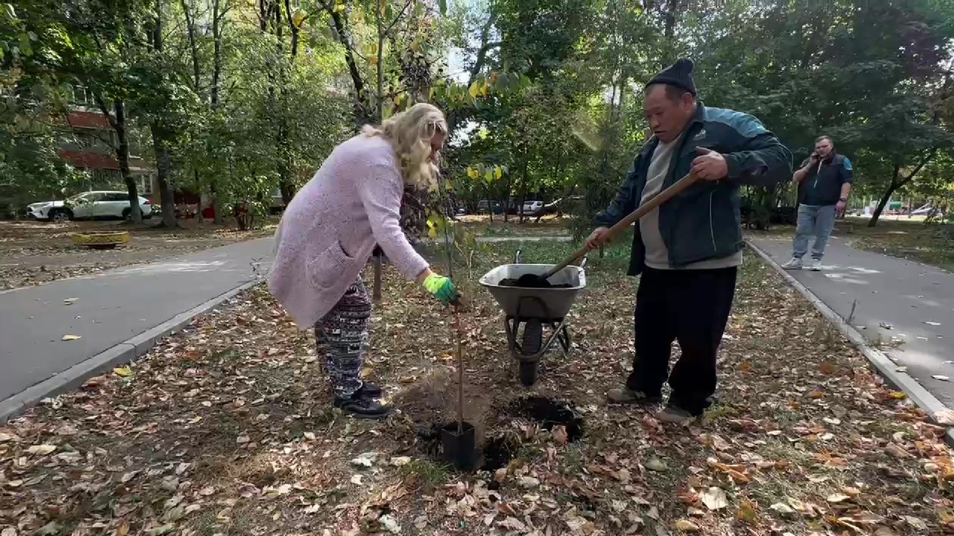Реутов, двор, благоустройство, деревья, кустарники,