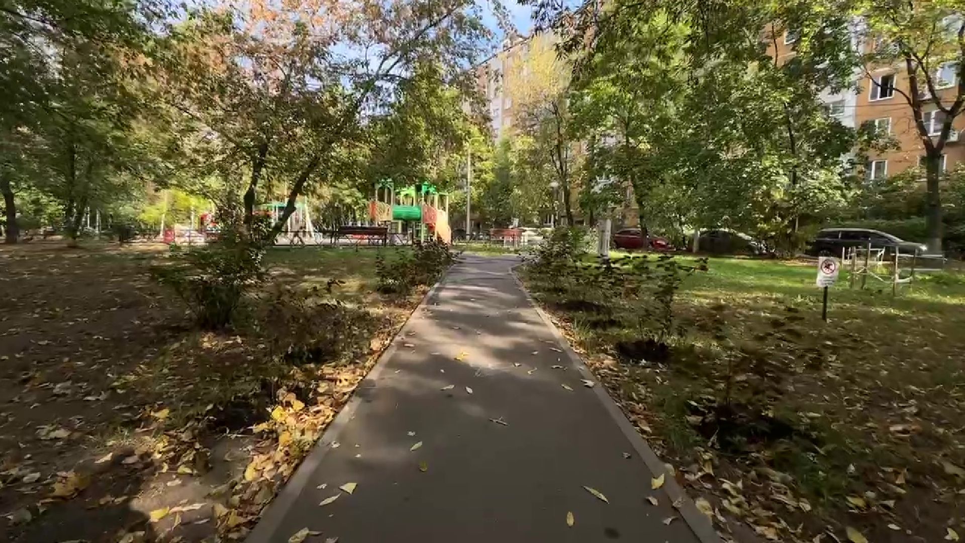 Реутов, двор, благоустройство, деревья, кустарники,