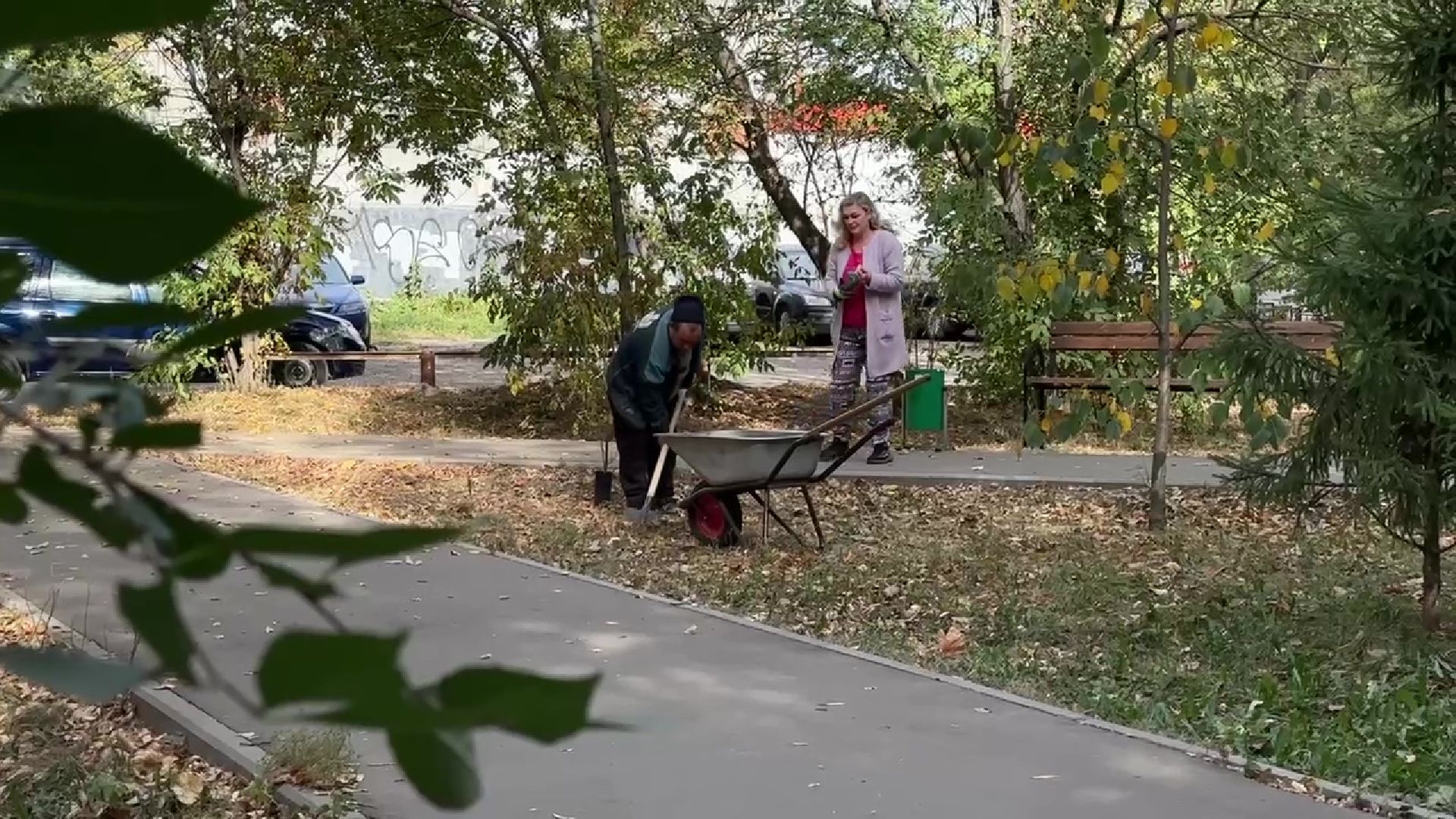 Реутов, двор, благоустройство, деревья, кустарники,