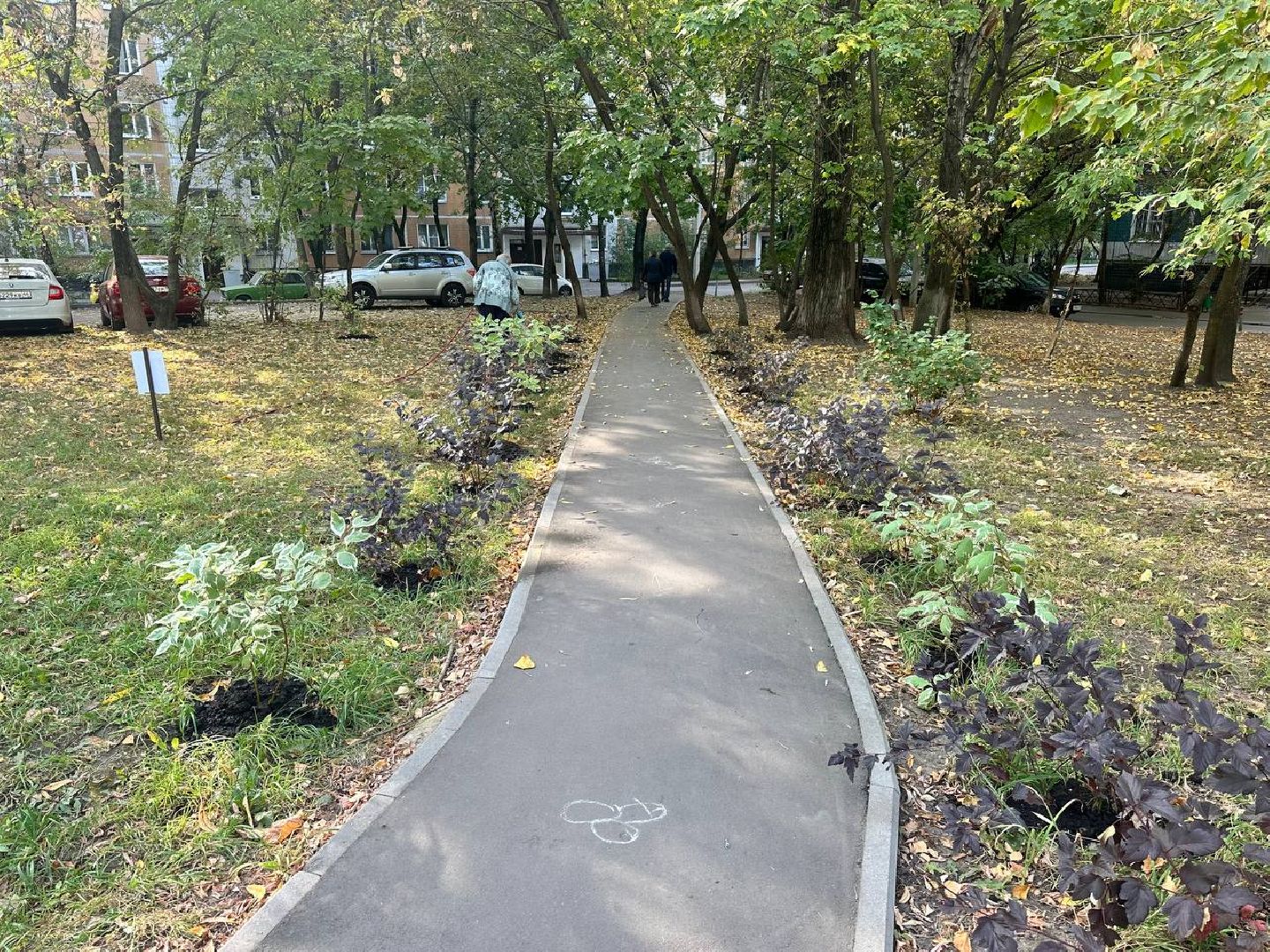 Реутов, двор, благоустройство, деревья, кустарники,