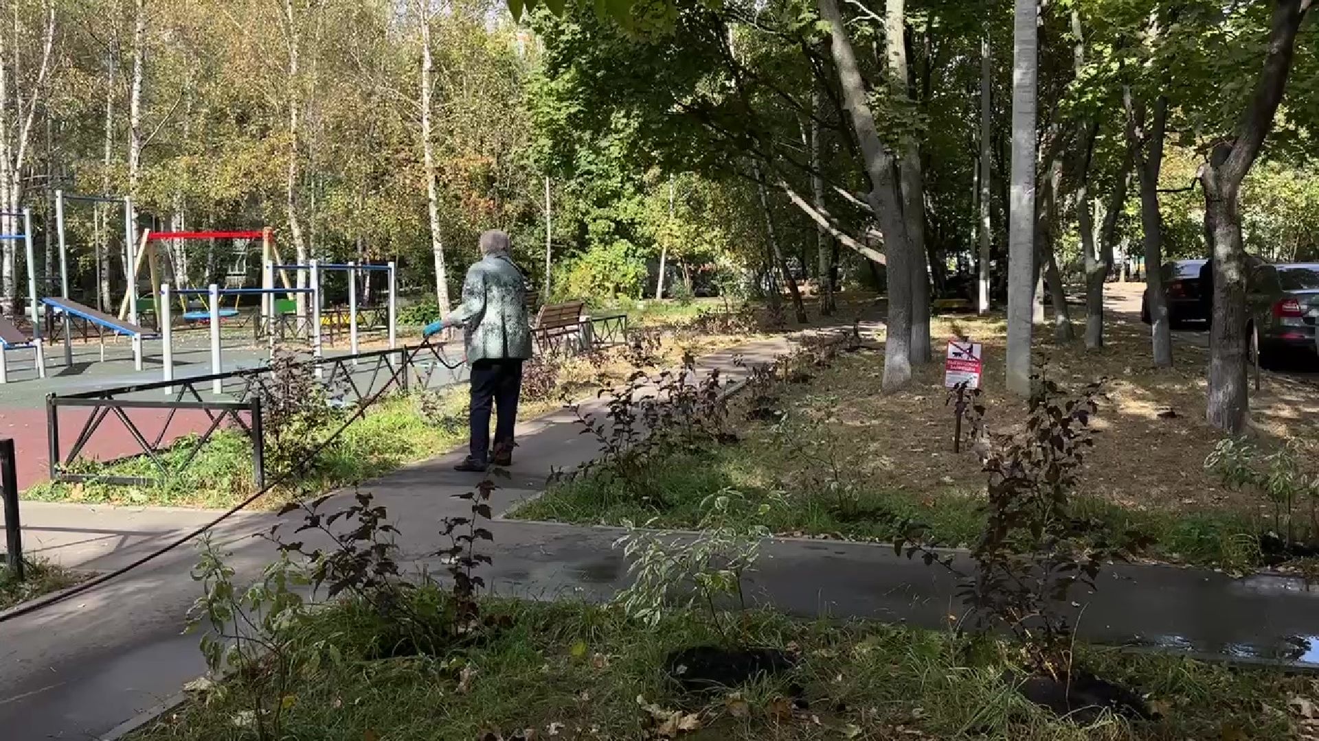 Реутов, двор, благоустройство, деревья, кустарники,