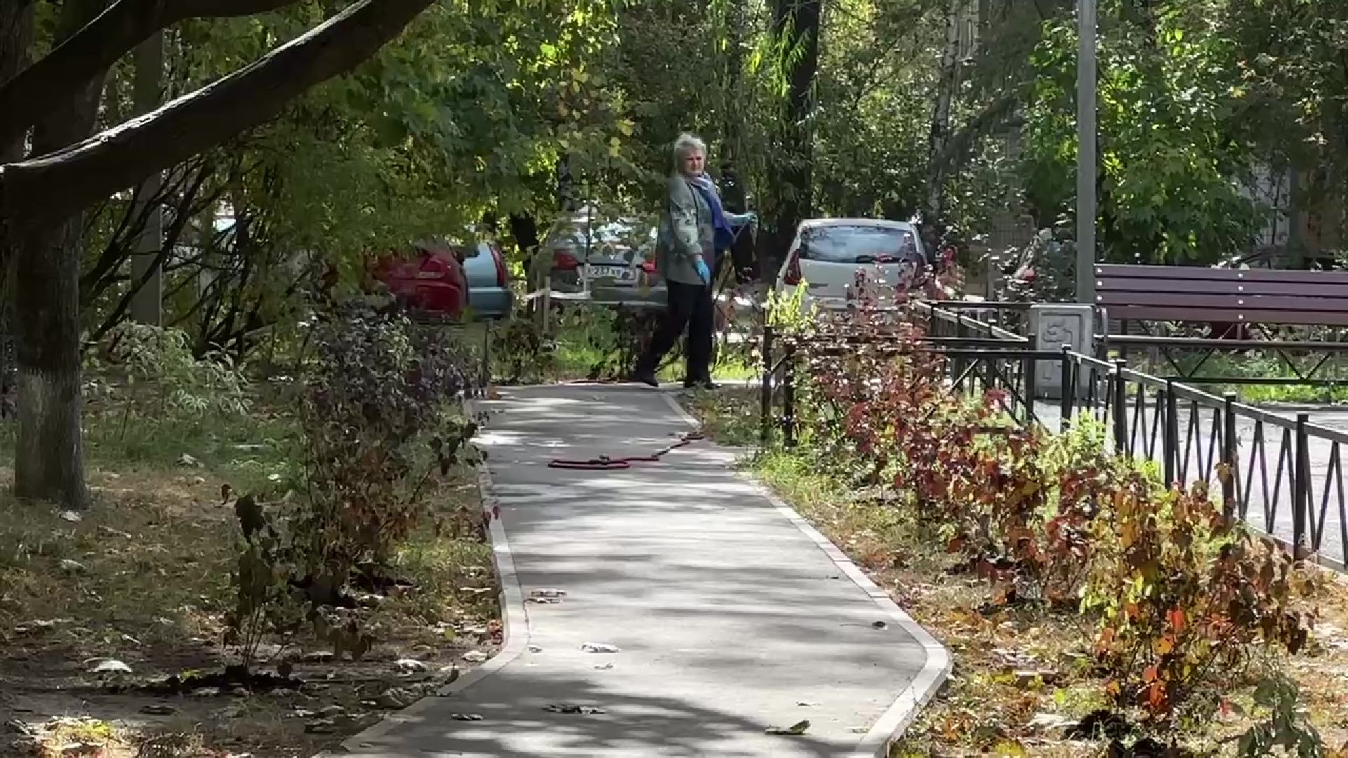 Реутов, двор, благоустройство, деревья, кустарники,