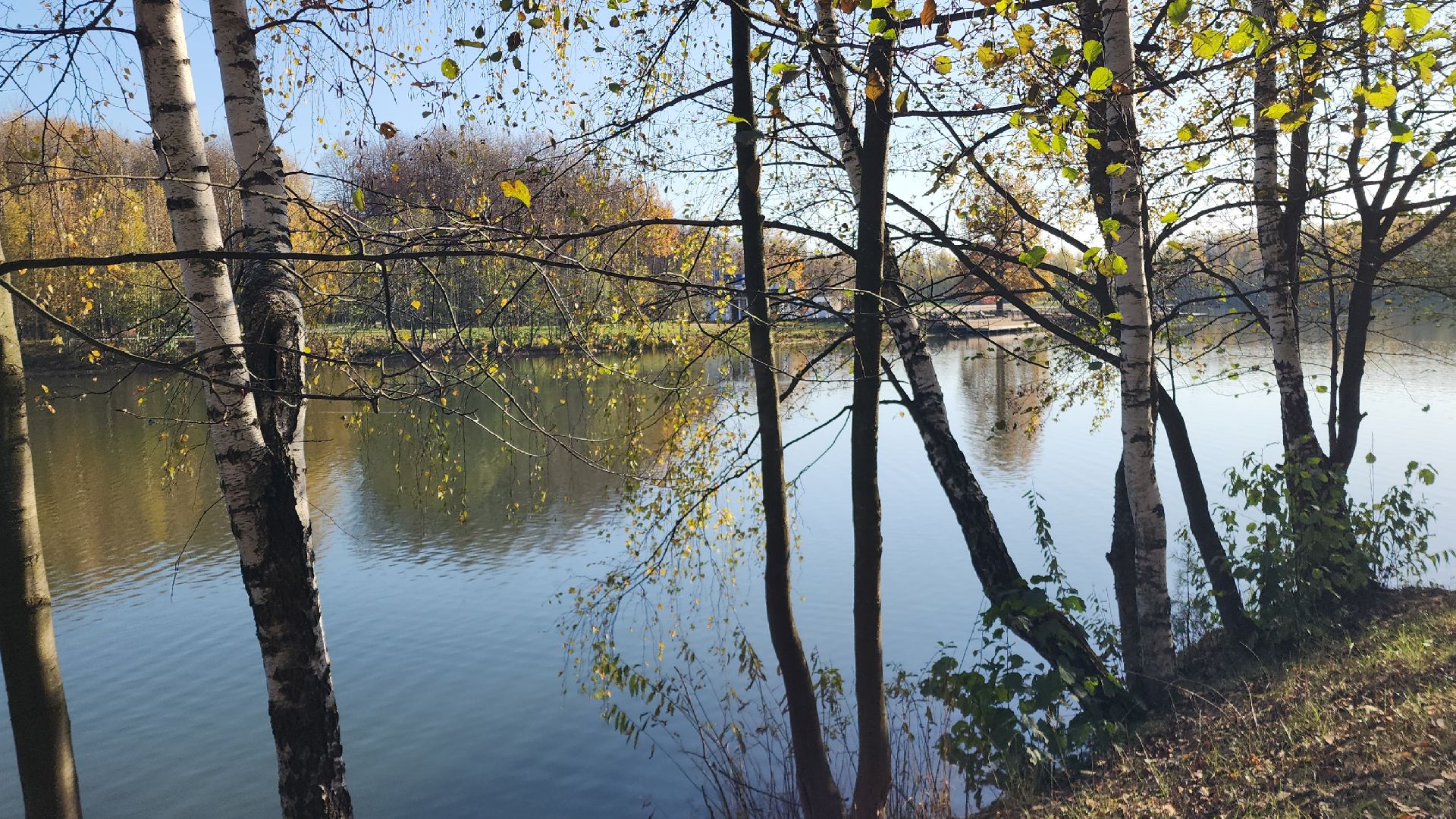 благоустройство, благоустройство 2024, парк, парк авангард, обращения жителей, городская администрация, электросталь, мой город,