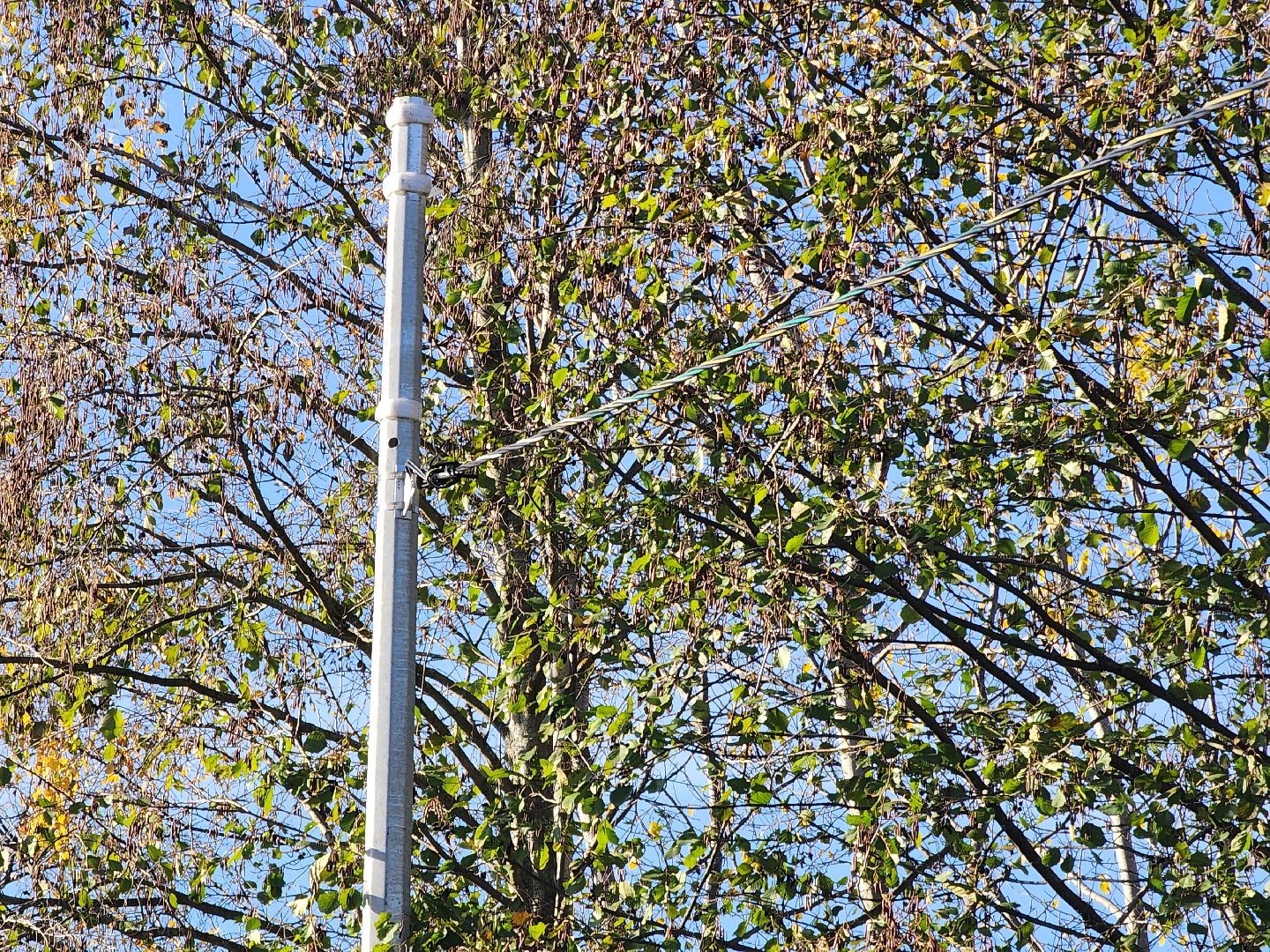 Дубна, Светлый город, Благоустройство,