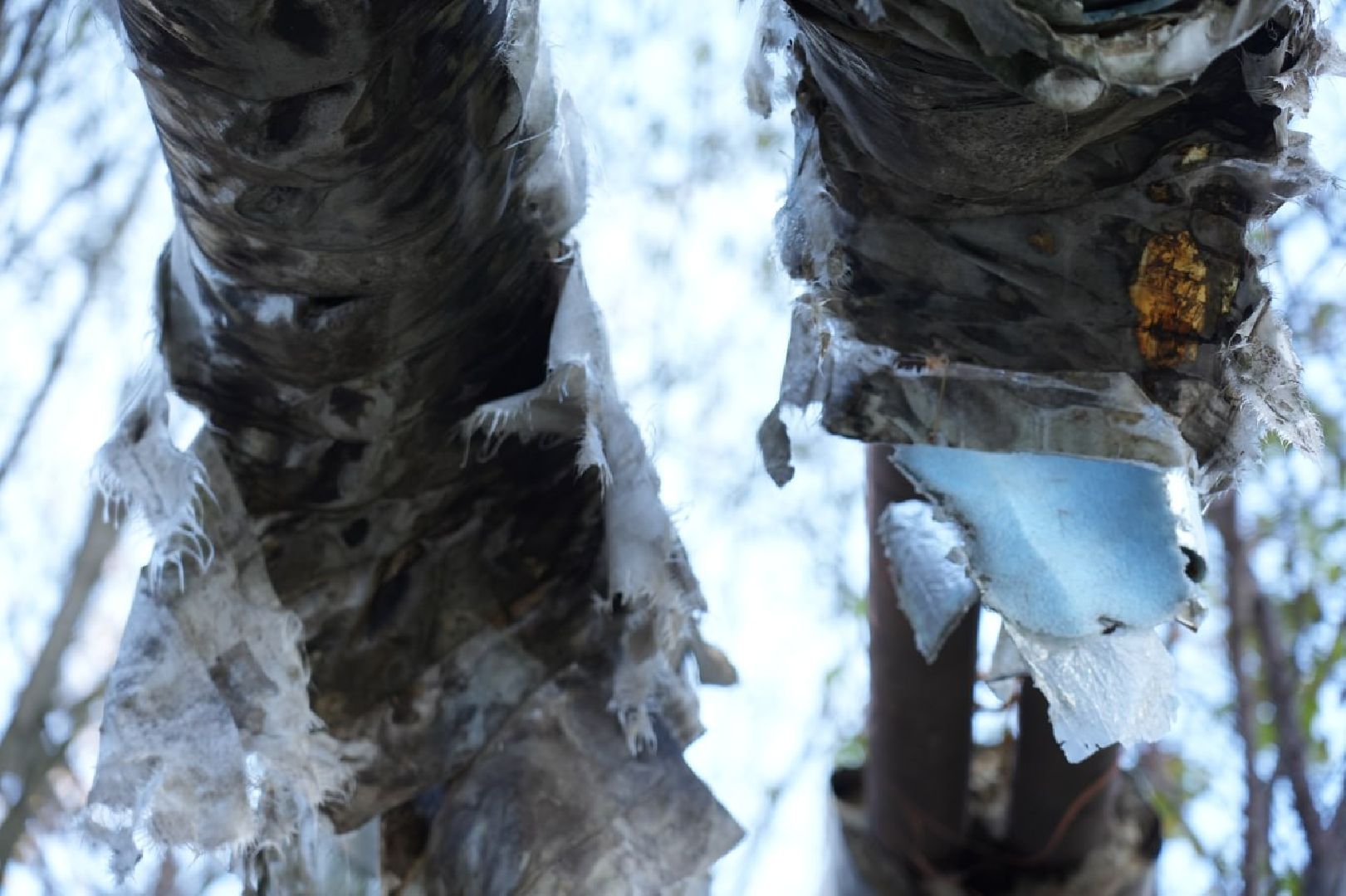 ЖКХ, Сергиев Посад, Сергиево-Посадский городской округ, Газпром теплоэнерго МО,Горячая вода,