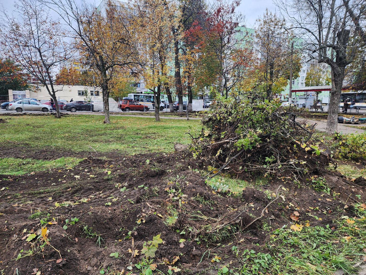 ногинск, благоустройство, сквер, реконструкция сквера, жители, общество,