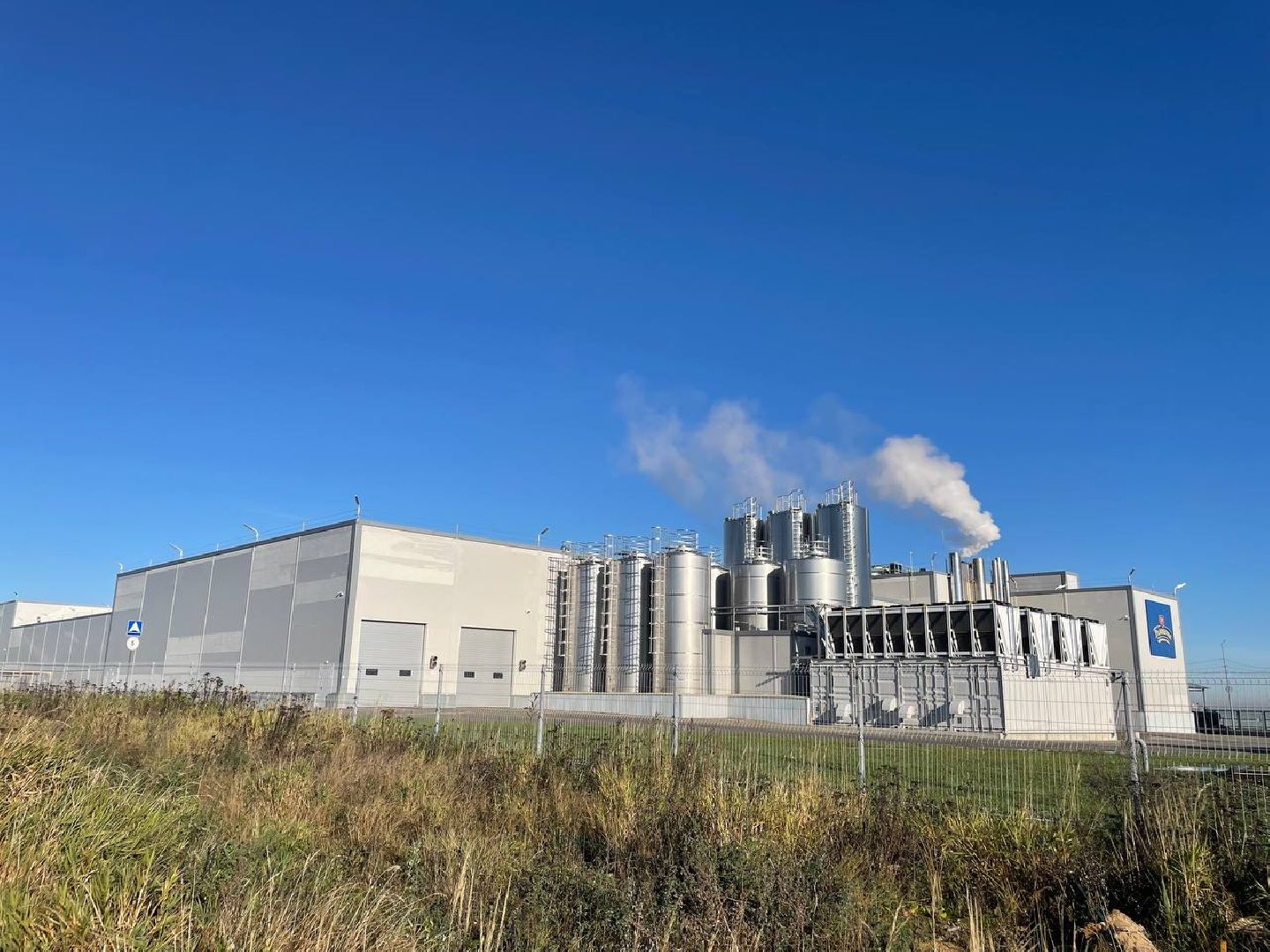 Дмитров, госветстанция, сырная долина,