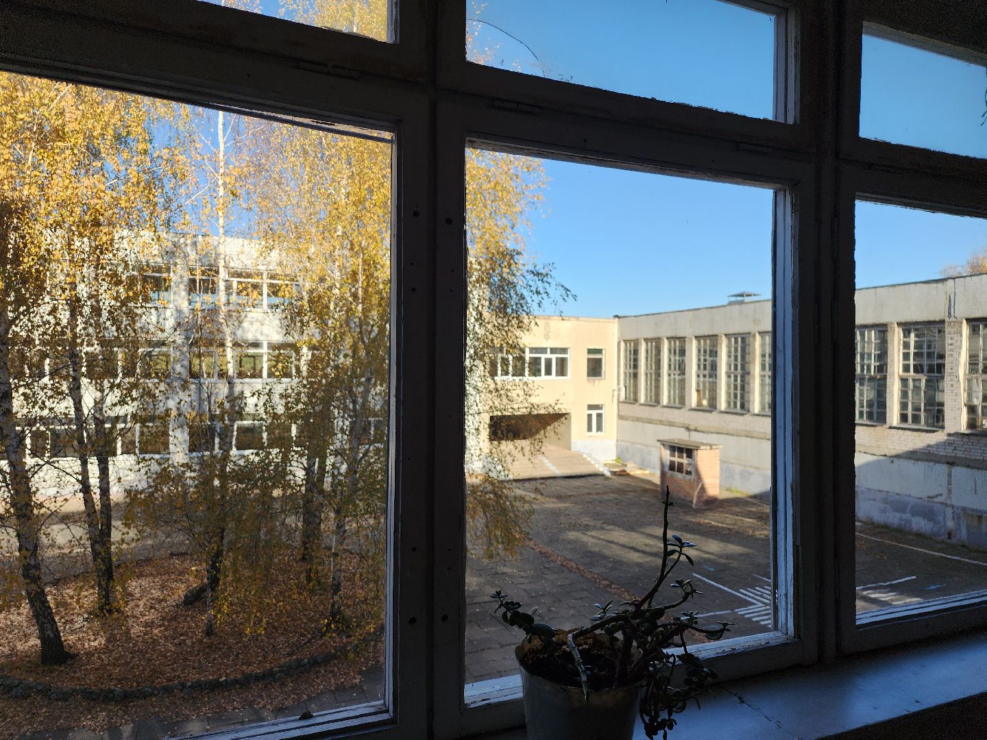 серпухов, подмосковье, капремонт школы, президентская программа, заменят окна,