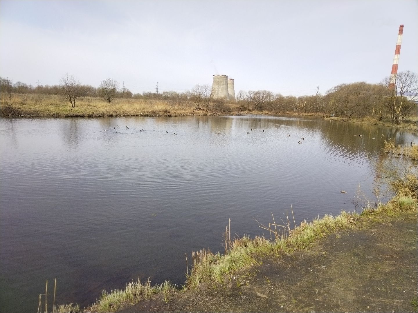 Вода России, экология, река,