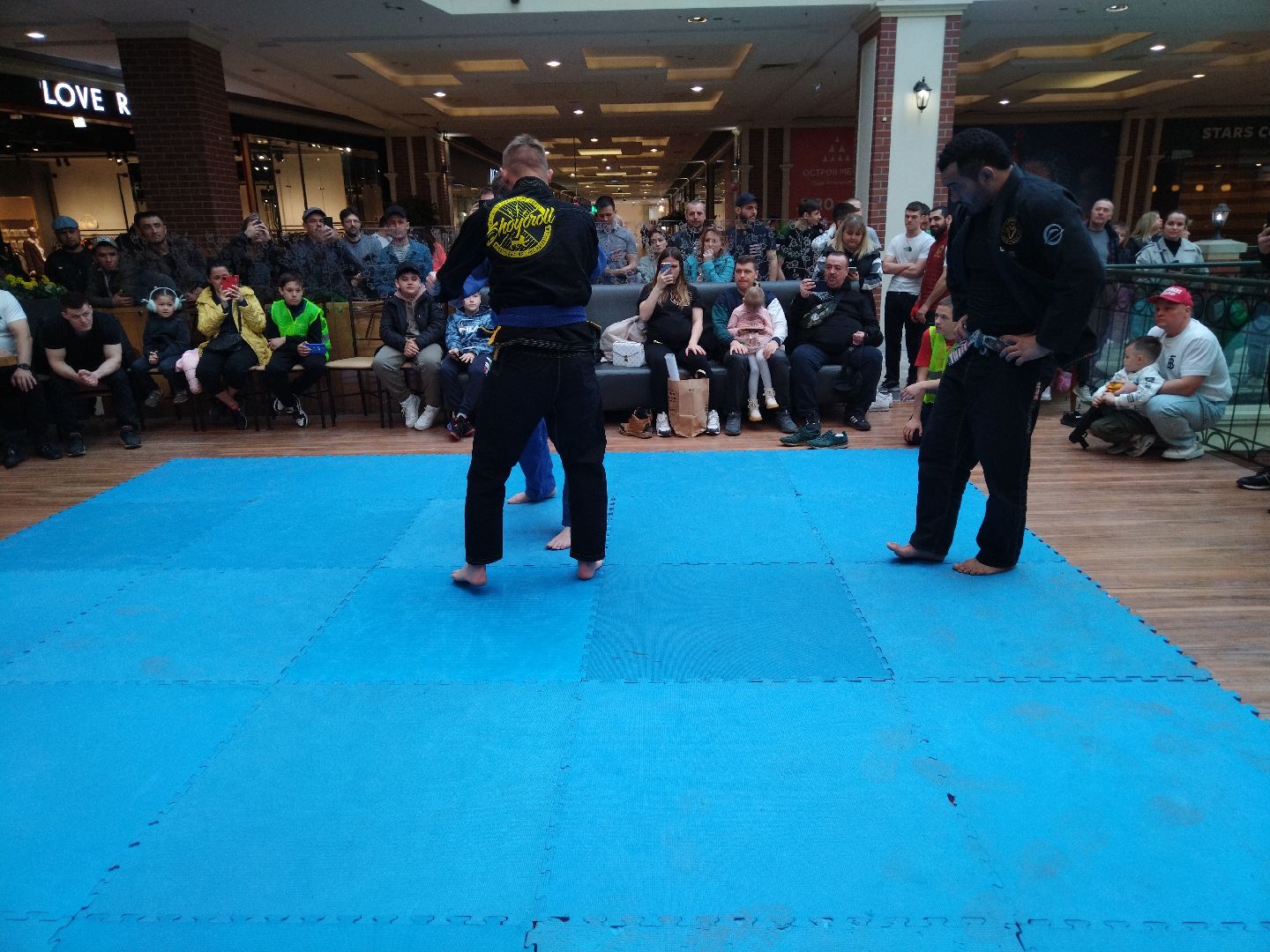 Спорт, бокс, Мытищи, кикбоксинг, джиу-джитсу