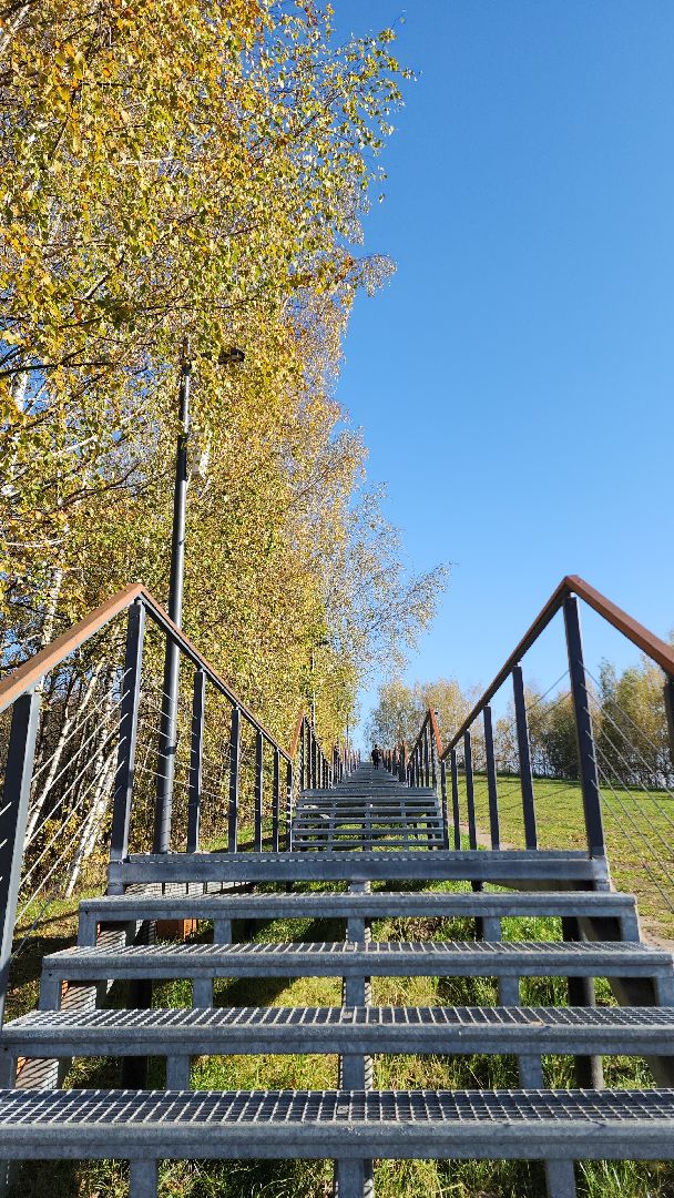 электросталь, парк авангард, мой город, благоустойство, благоустройство 2024, благоустройство парка, подготовка к зиме, администрация, администрация электростали,