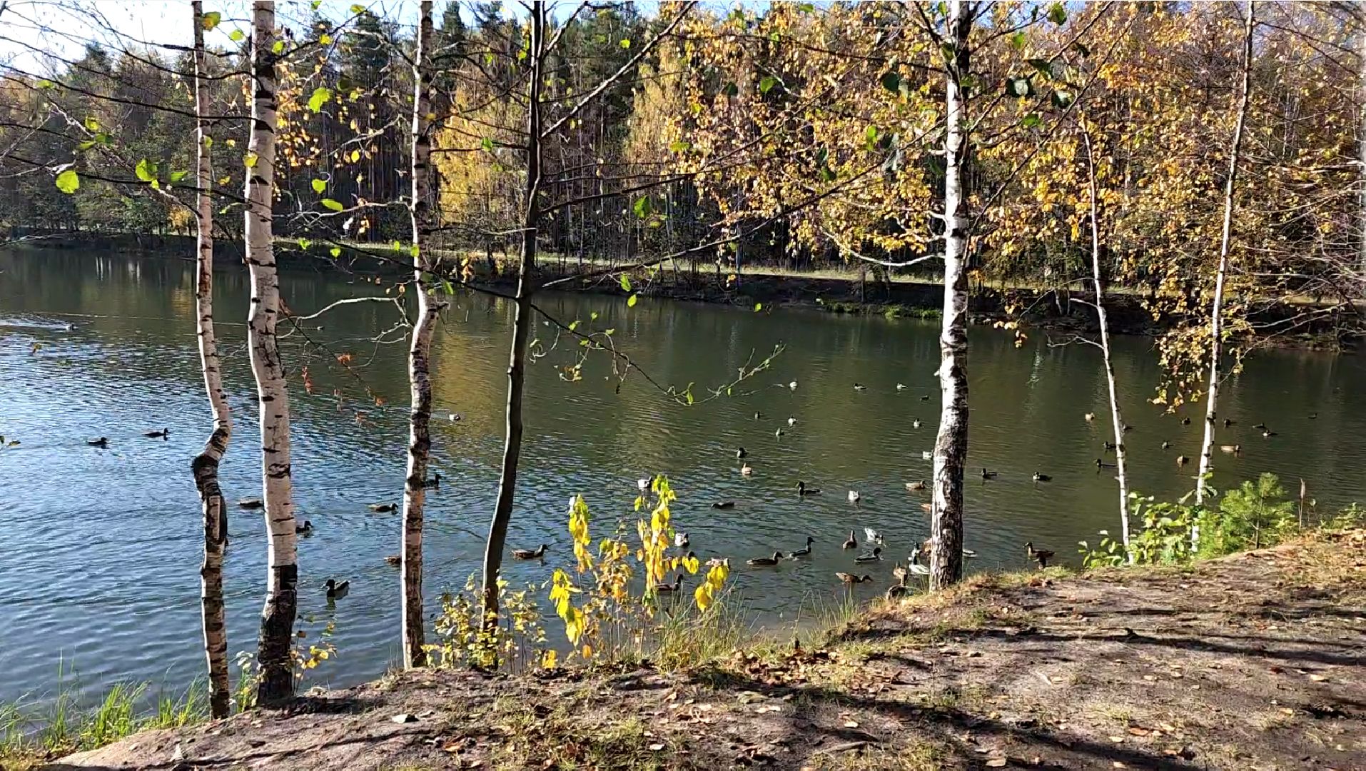 электросталь, парк авангард, мой город, благоустойство, благоустройство 2024, благоустройство парка, подготовка к зиме, администрация, администрация электростали,