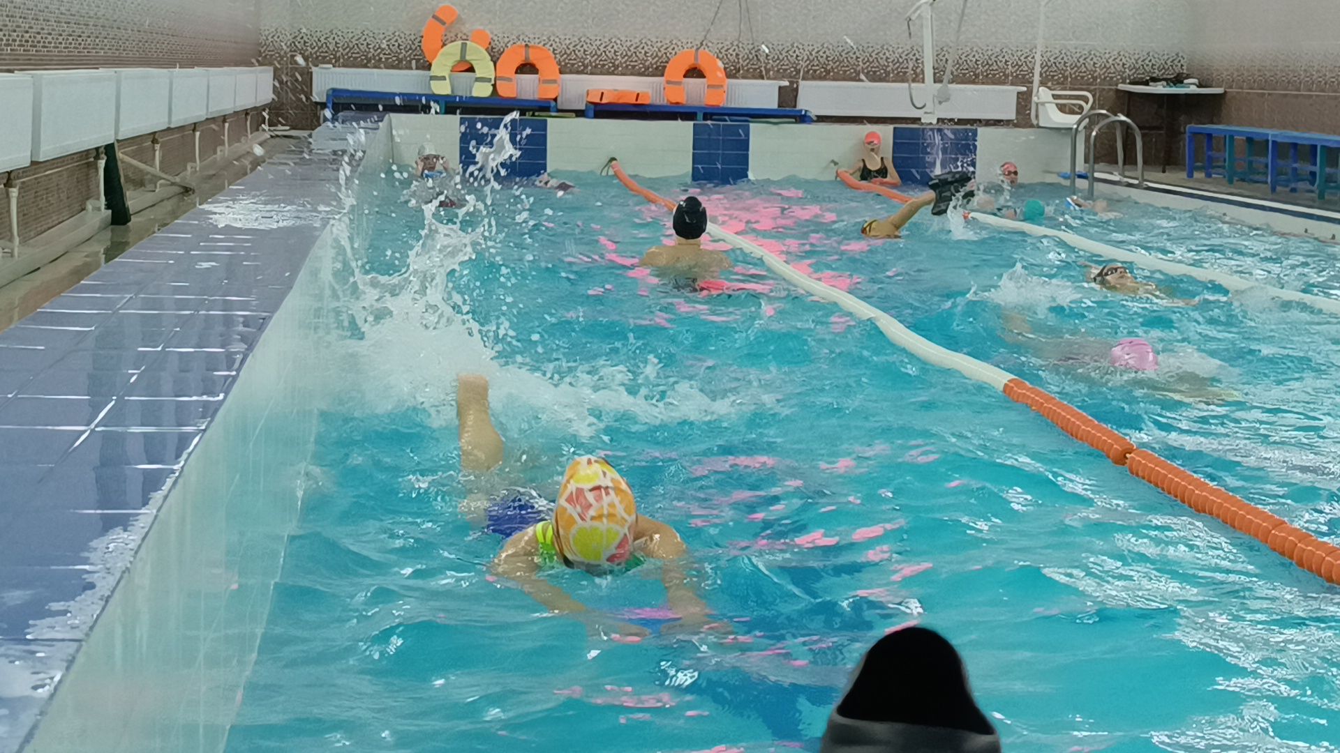 плавание, лобня, спорт,