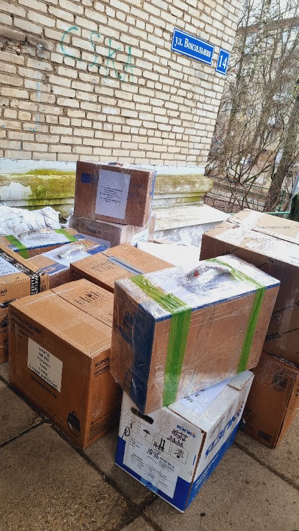 Подмосковье, Пушкинский городской округ, волонтеры,