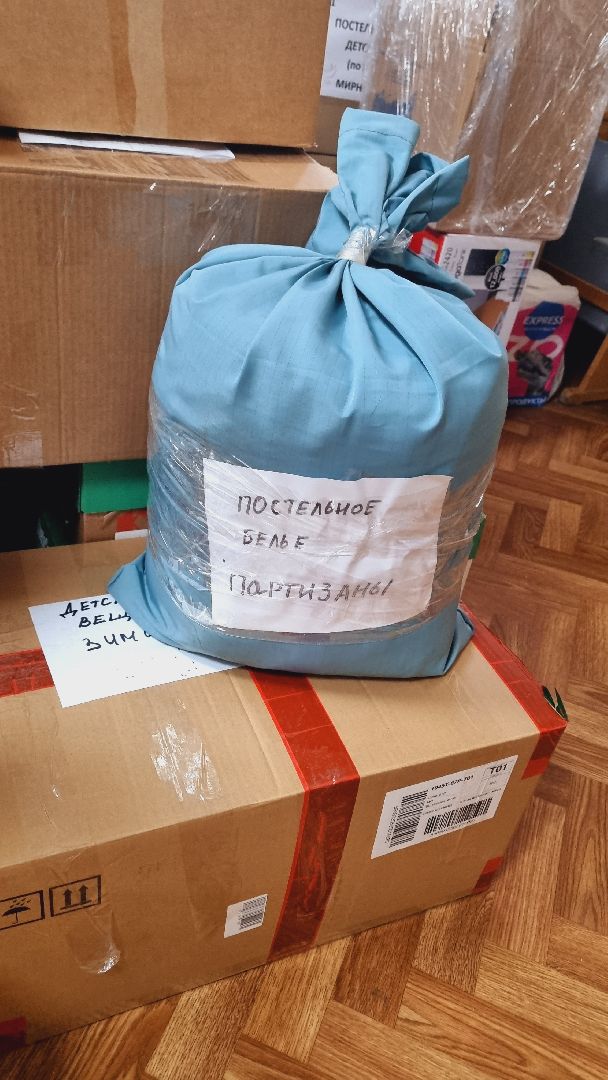 Подмосковье, Пушкинский городской округ, волонтеры,