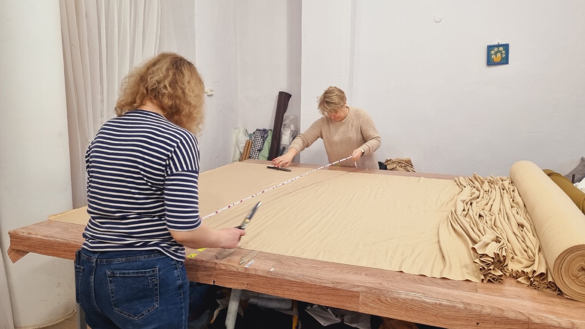 Подмосковье, Пушкинский городской округ, волонтеры,