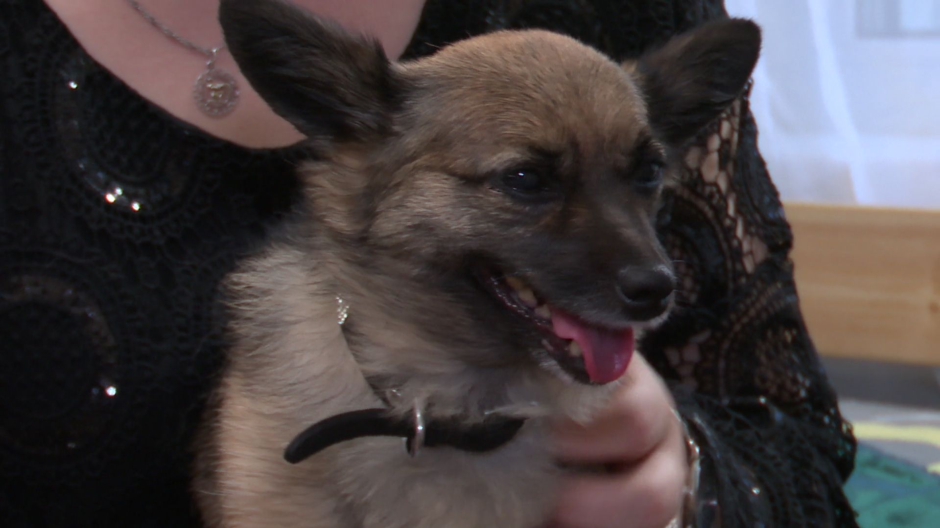 Реутов, медицина, здравоохранение, династия Бучевых, врачи, медсестра, семья,