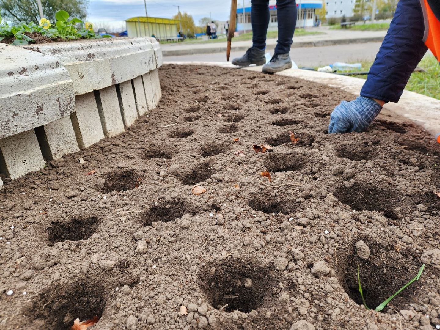 пущино, серпухов, благоустройсво,
