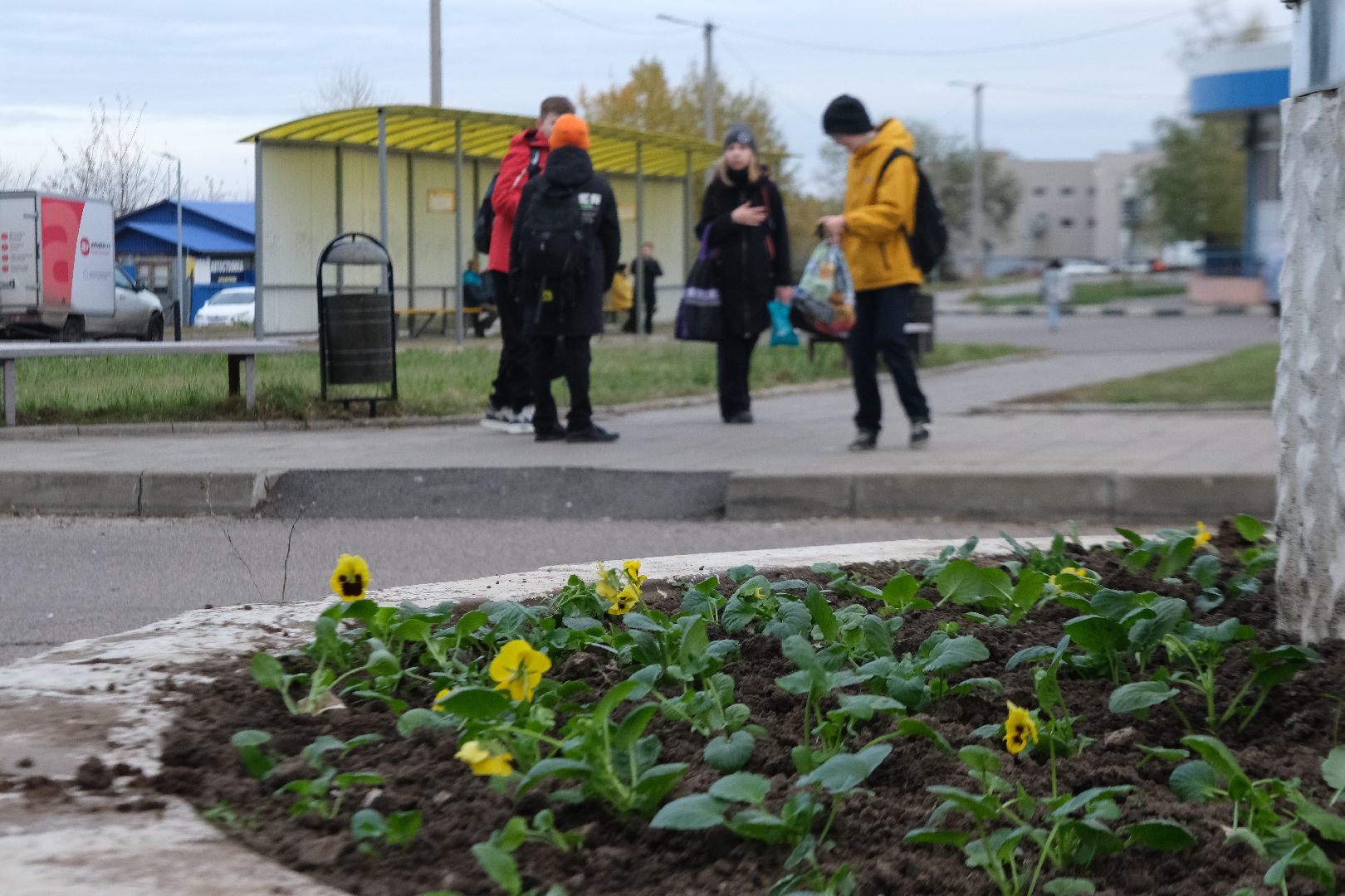 пущино, серпухов, благоустройсво,