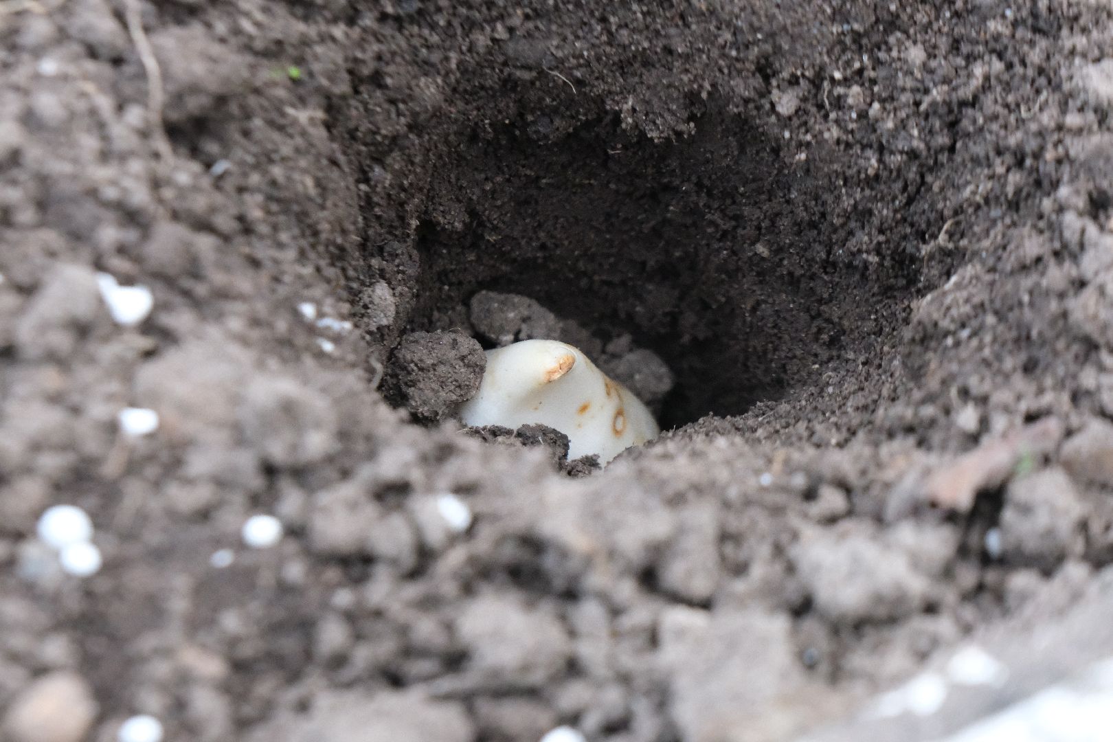 пущино, серпухов, благоустройсво,