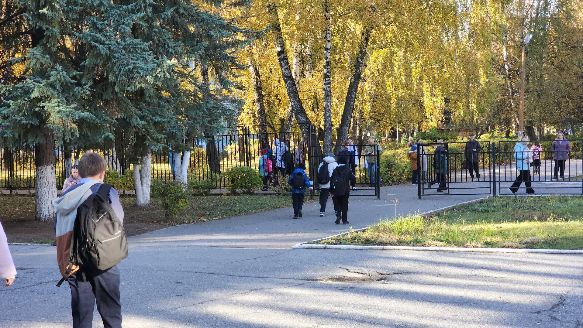 воскресенск, образование, транспорт, школа,