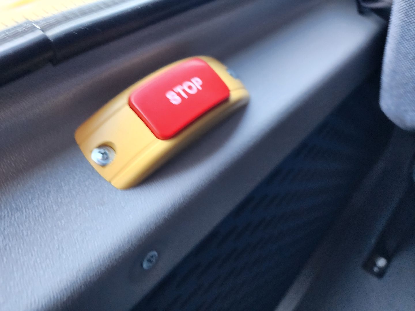 воскресенск, образование, транспорт, школа,