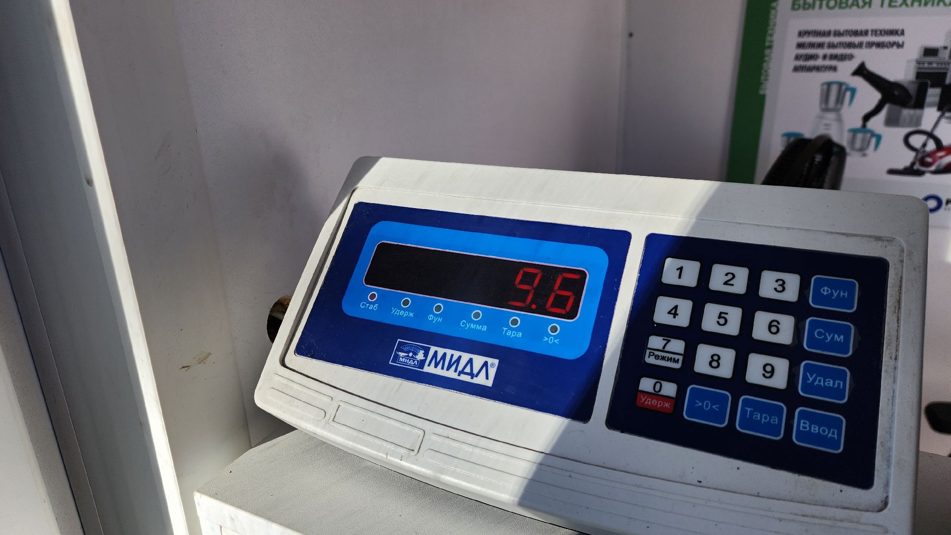 экология, мегабак, общество,