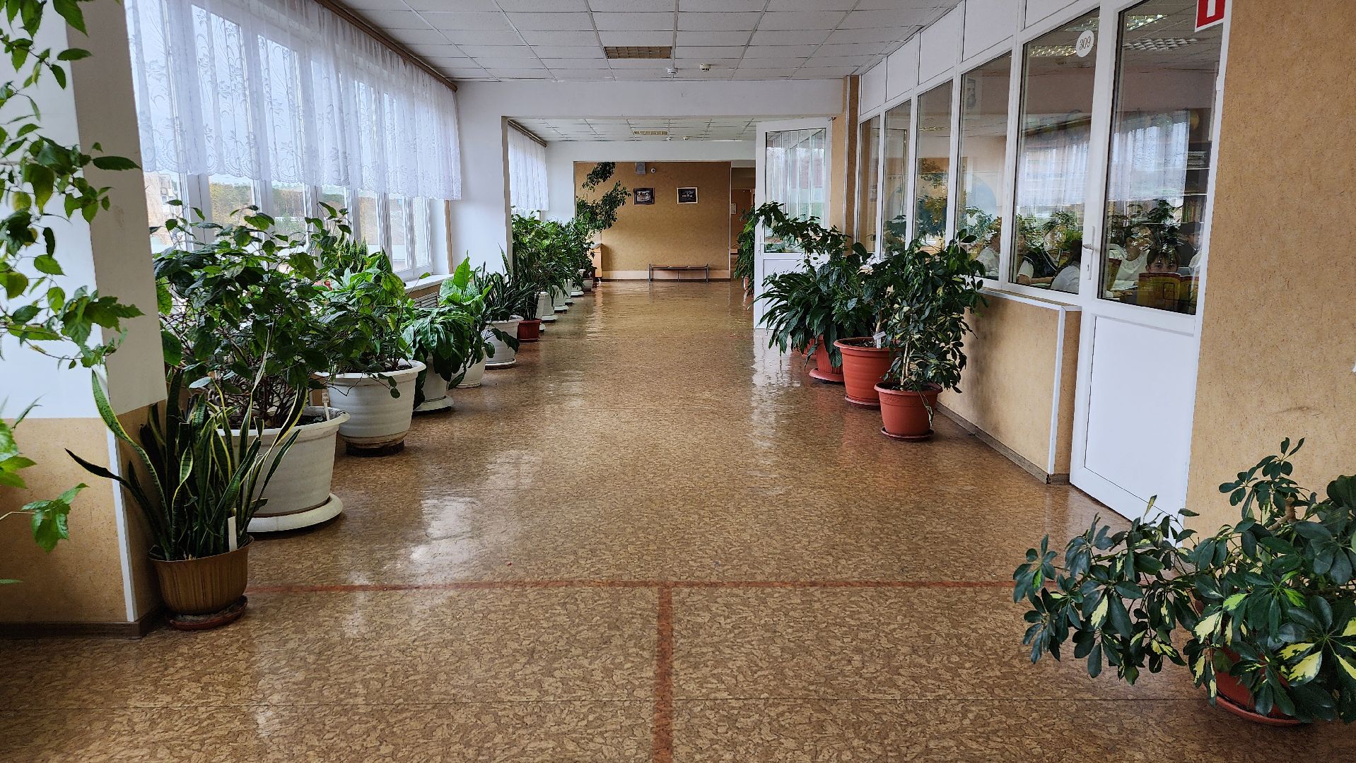 грант Министерства образования, центр образования, Всероссийская олимпиада школьников, село Ямкино, Богородский городской округ,