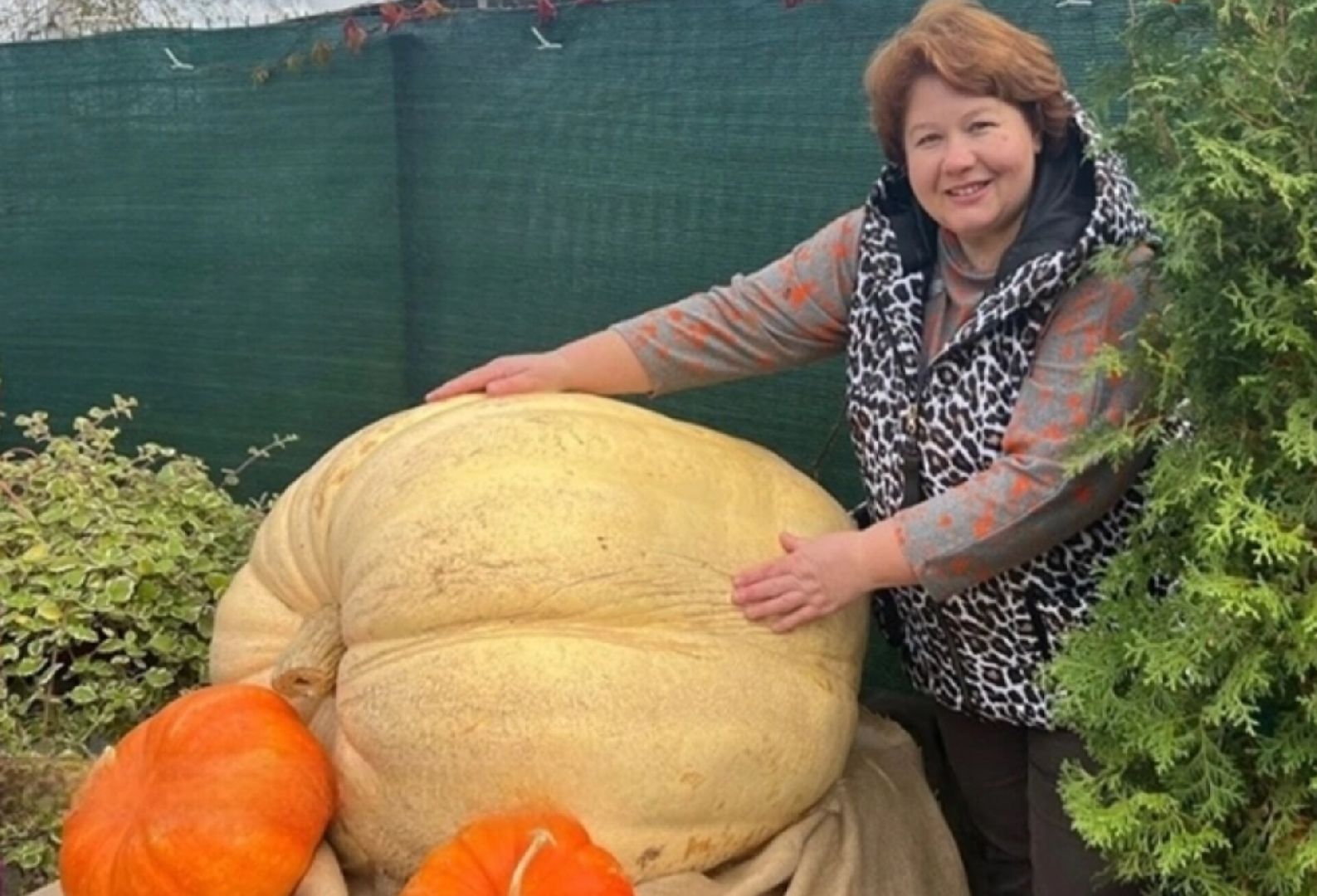 Звенигород, сельское хозяйство, Люди,